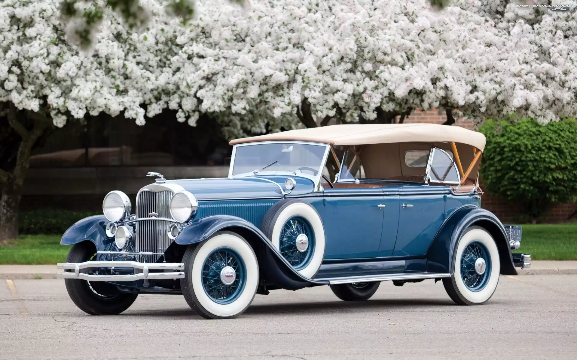 Droga, Zabytkowy, Kwitnące, Phaeton, Drzewa, Lincoln, 1931, Sportowy