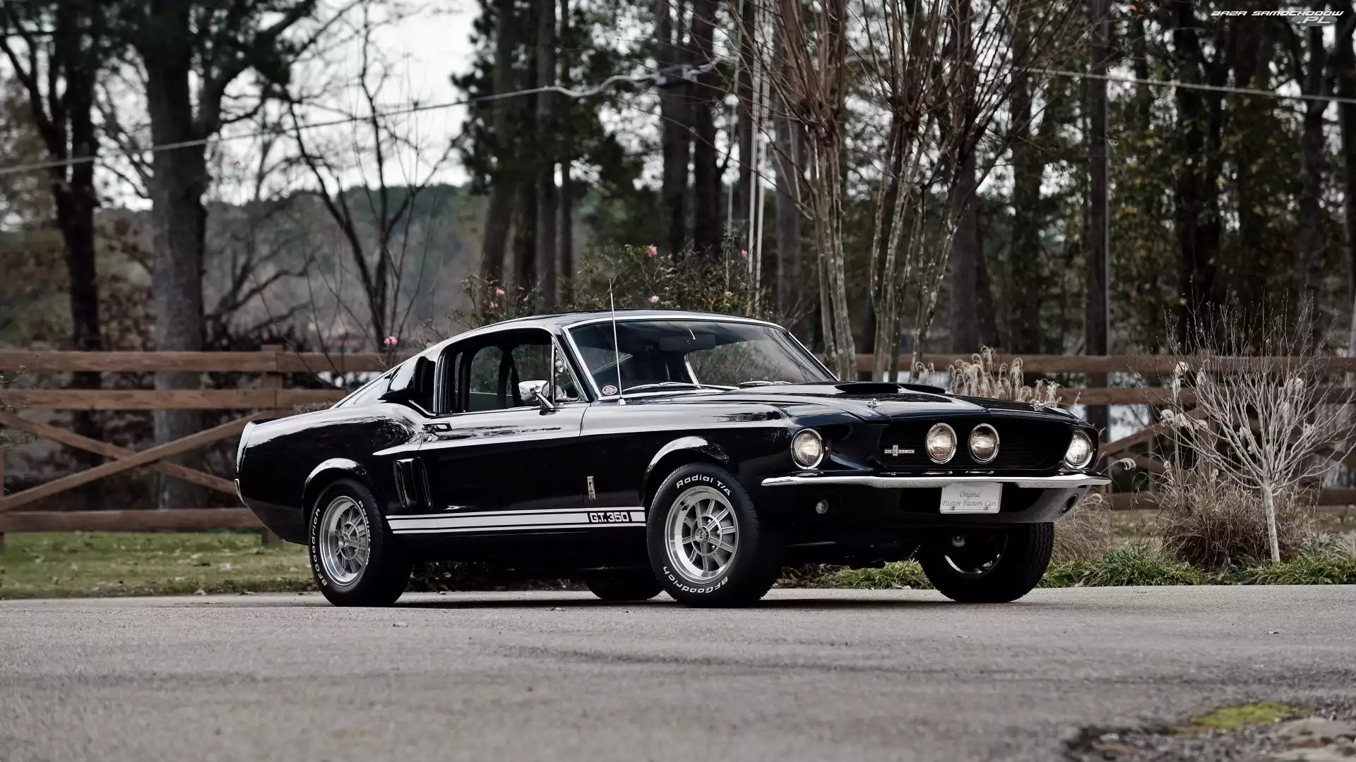 1967, Zabytkowy, Ford Mustang Shelby GT350