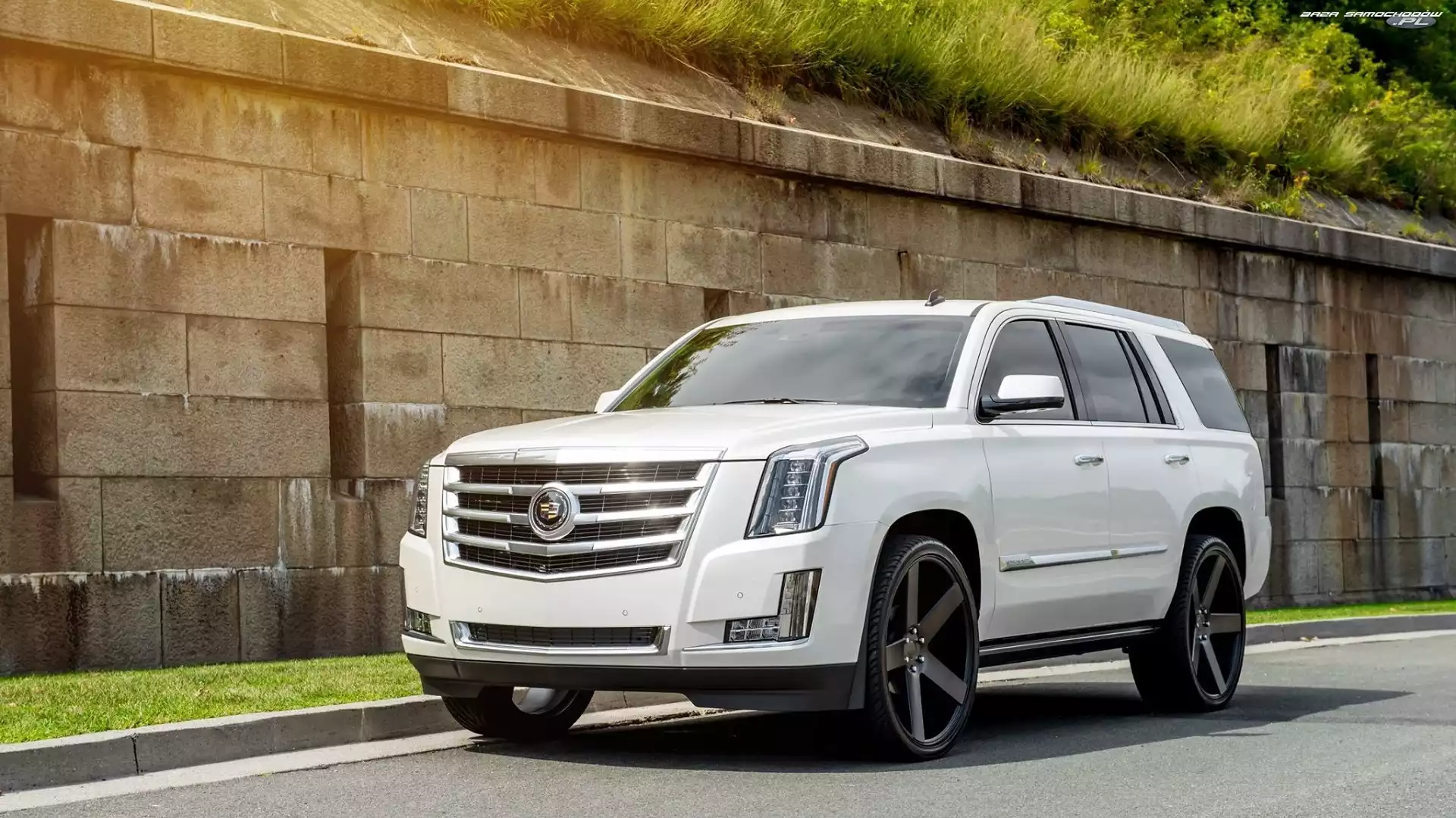 2015, Biały, Cadillac Escalade