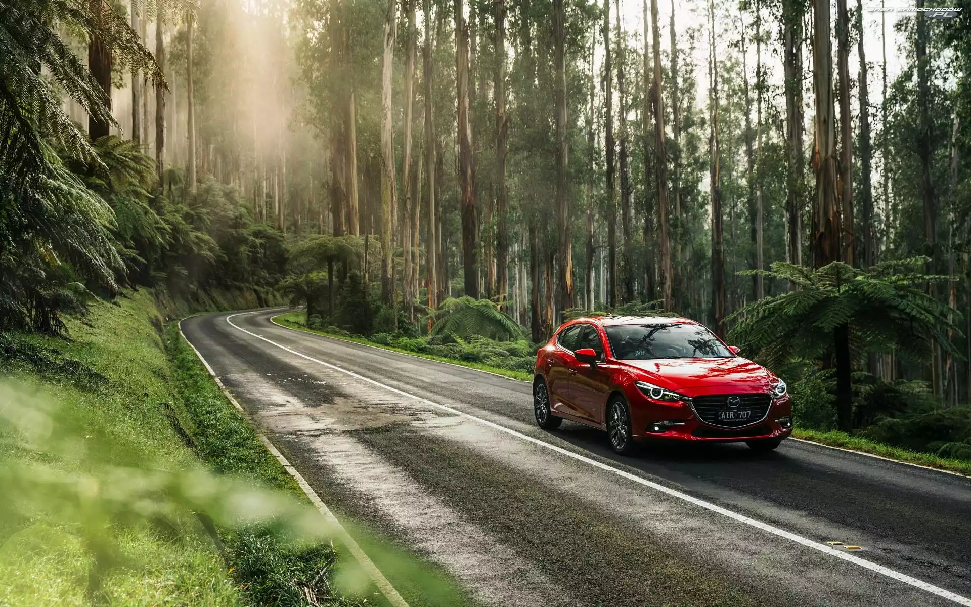 Droga, Las, Mazda 3 SP25 Astina Sedan, Czerwona, 2016