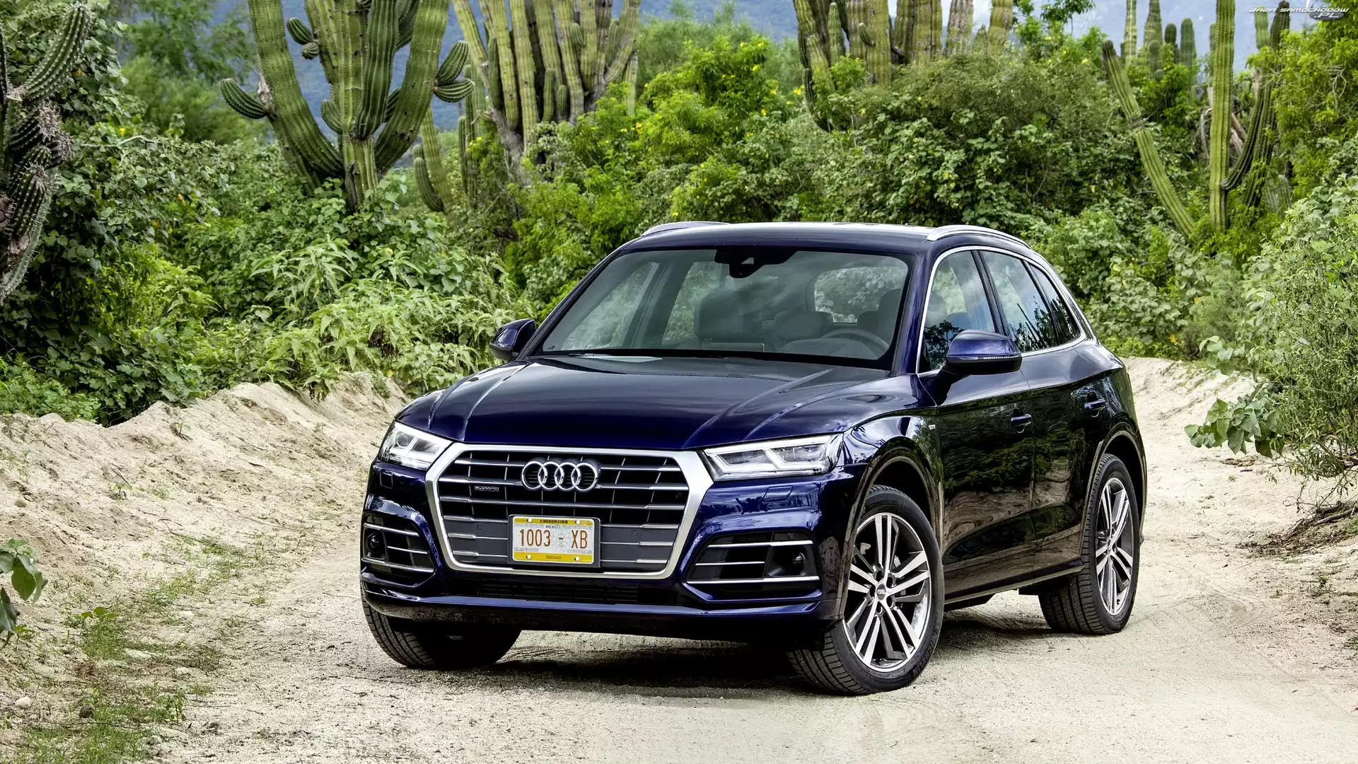 Kaktusy, Audi Q5 TFSI Quattro SUV Navarra Blue, 2017