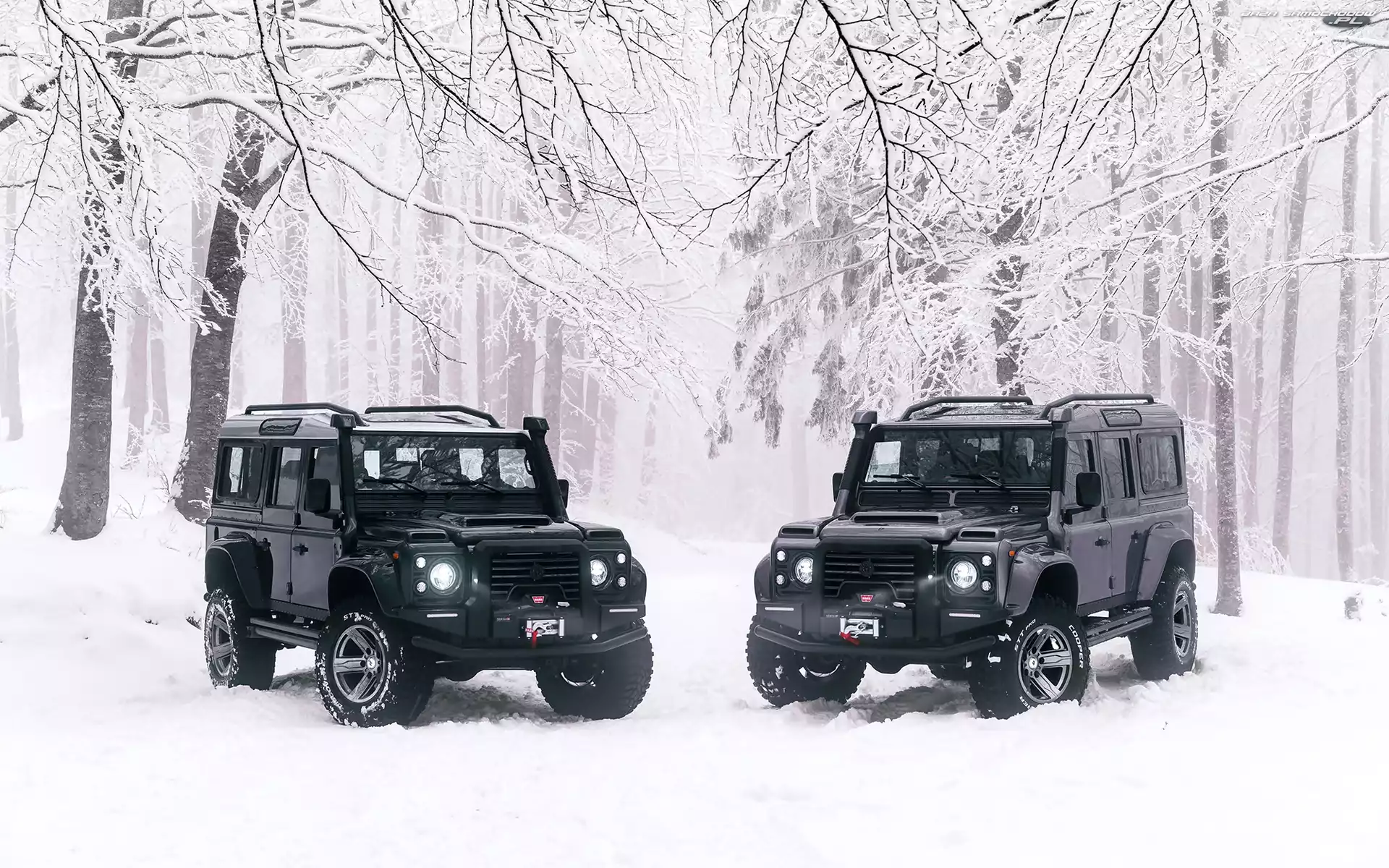 Zima, Land Rover Defender, Dwa, Las, Drzewa, Czarne, 2018
