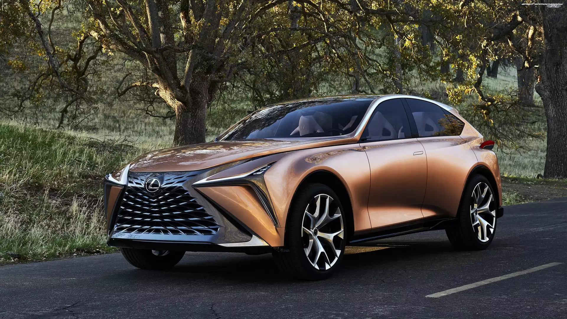 SUV, 2018, Lexus LF-1 Limitless, Concept