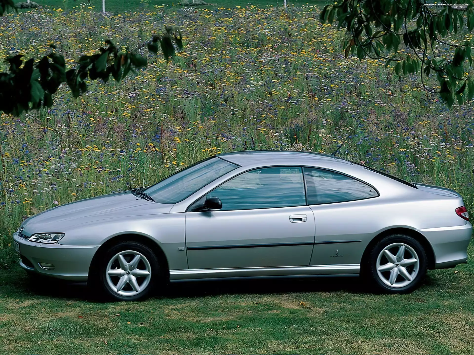 Coupe, Peugeot 406