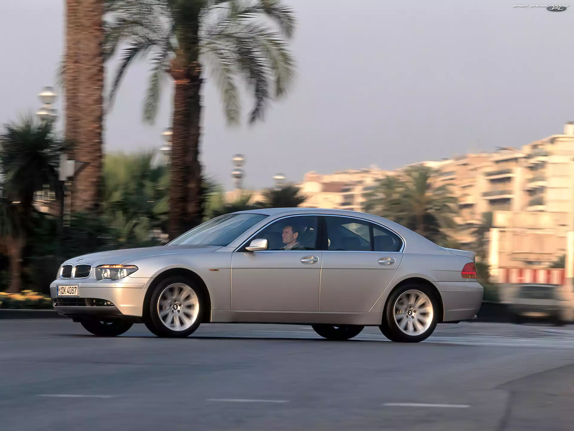 Palmy, Bmw 7