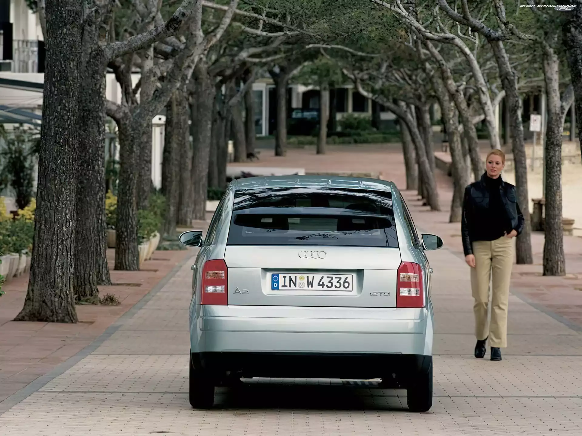 Drzewa, Audi A2