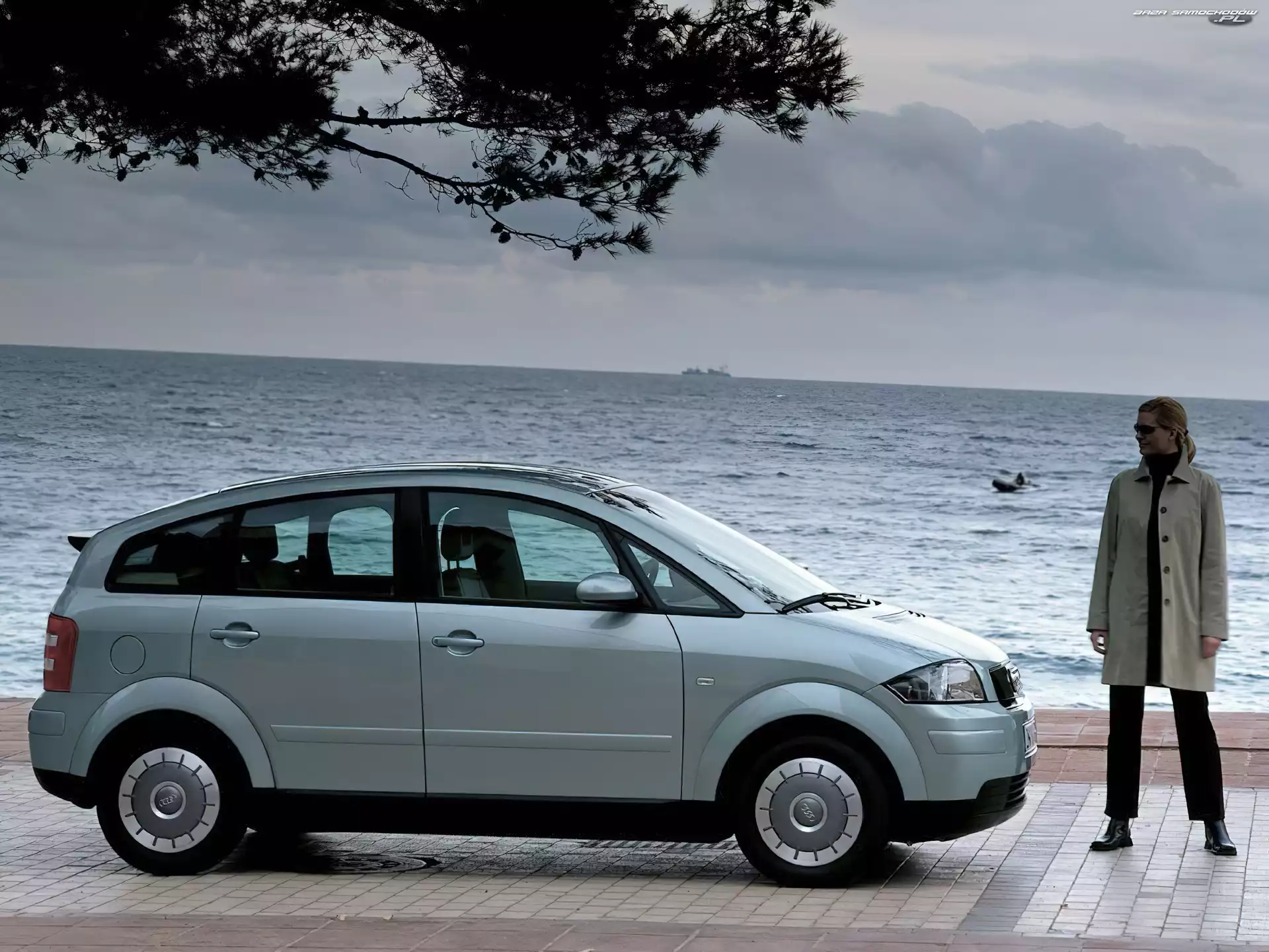 Drzewo, Audi A2