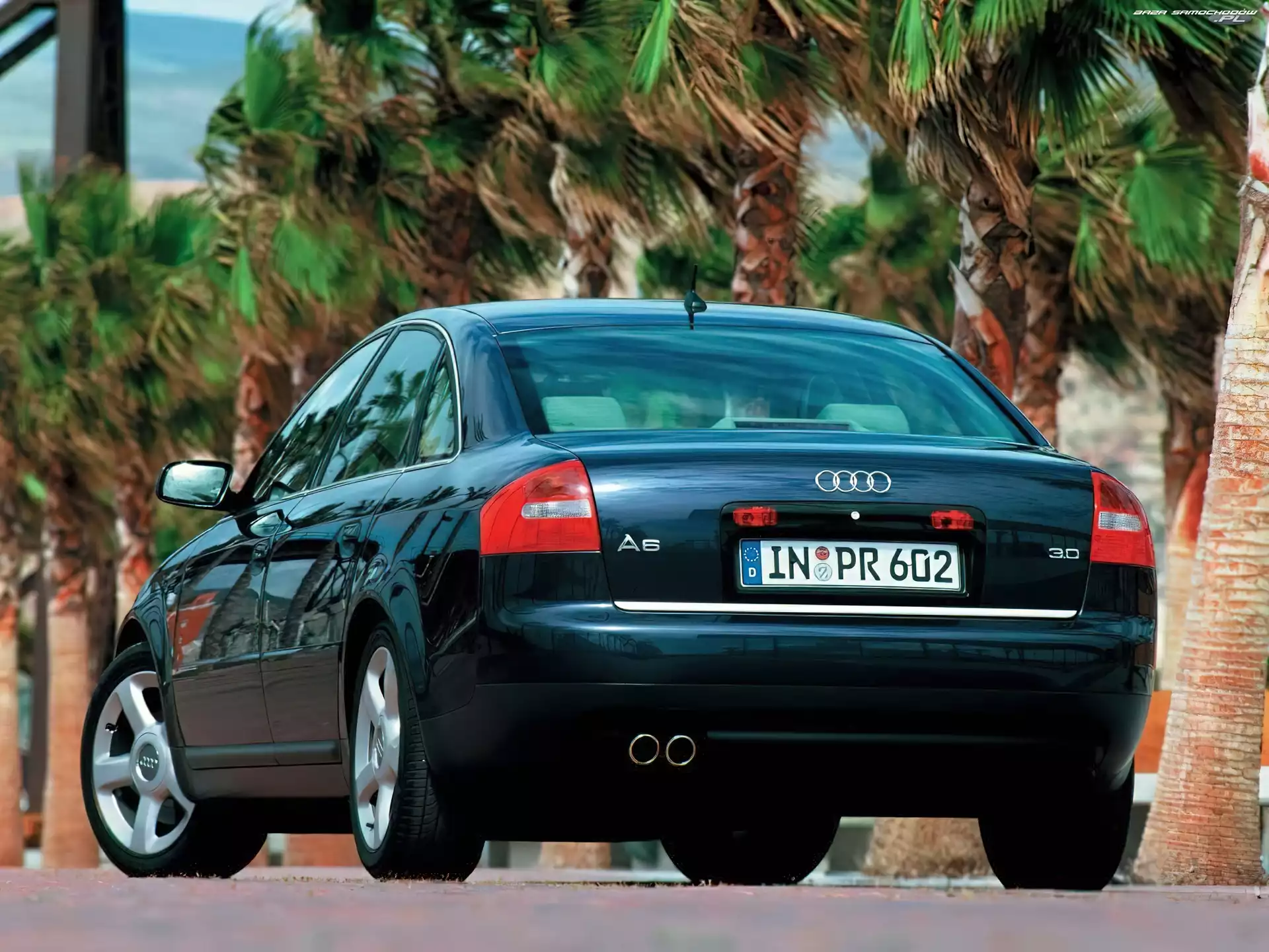 Palmy, Audi A6
