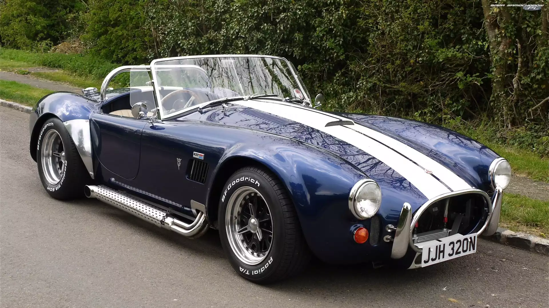 AC Cobra, Zabytkowy, Shelby Cobra, 1965