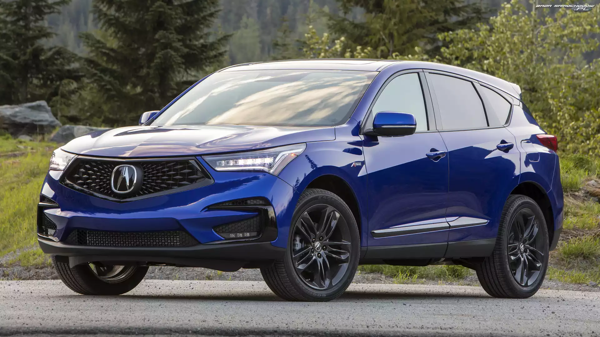 Acura RDX A