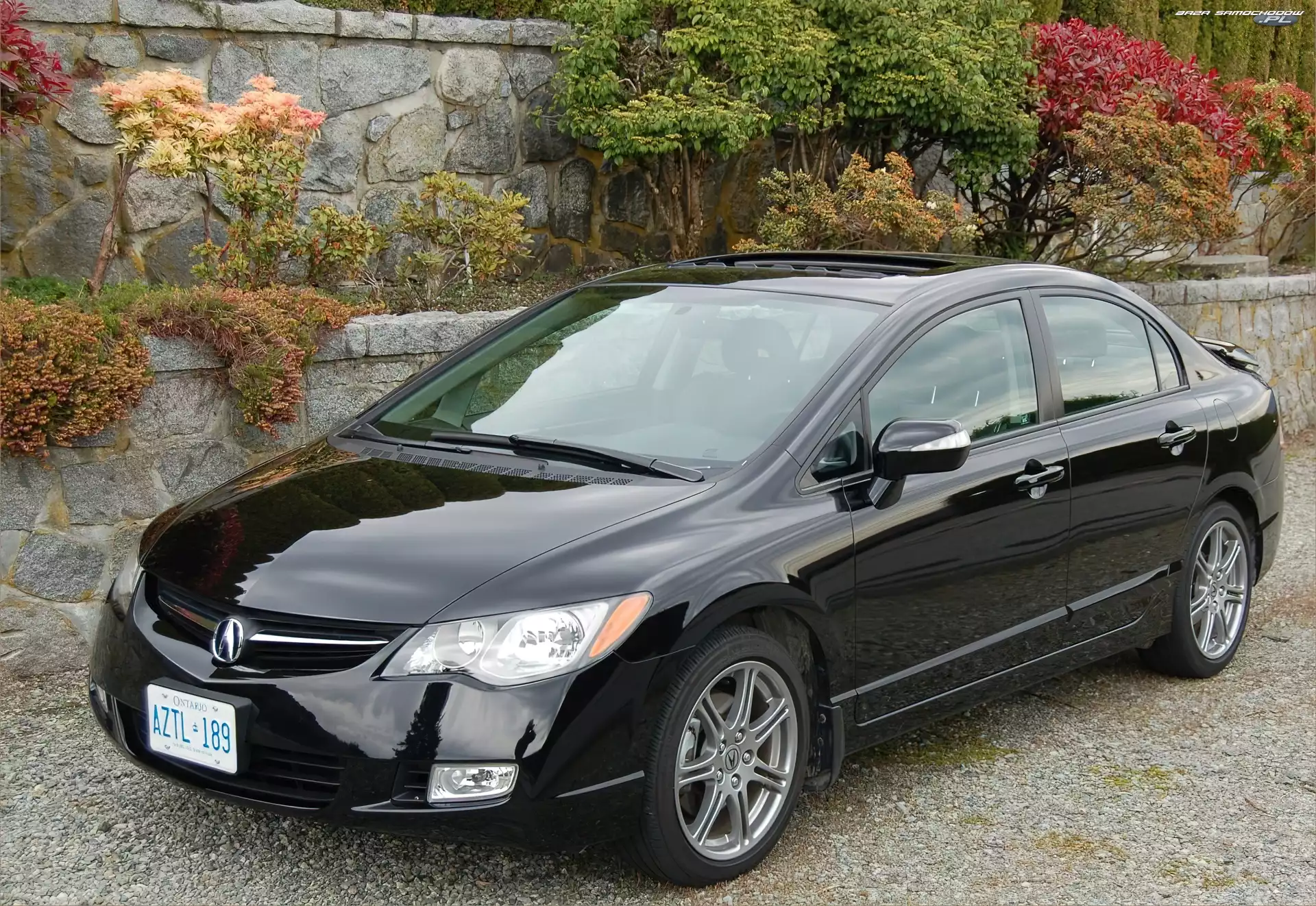 Czarna, Acura CSX, Ontario, Rejestracja