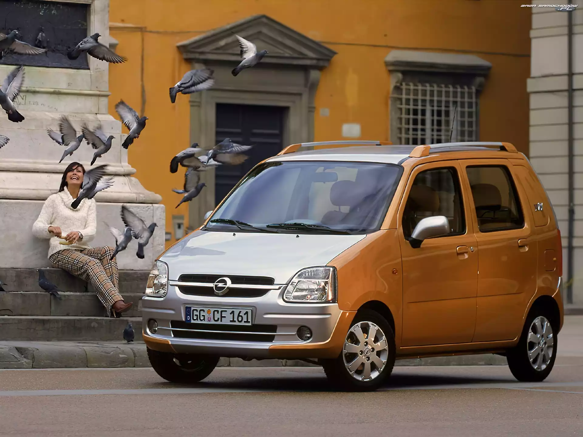 Ptaki, Opel Agila