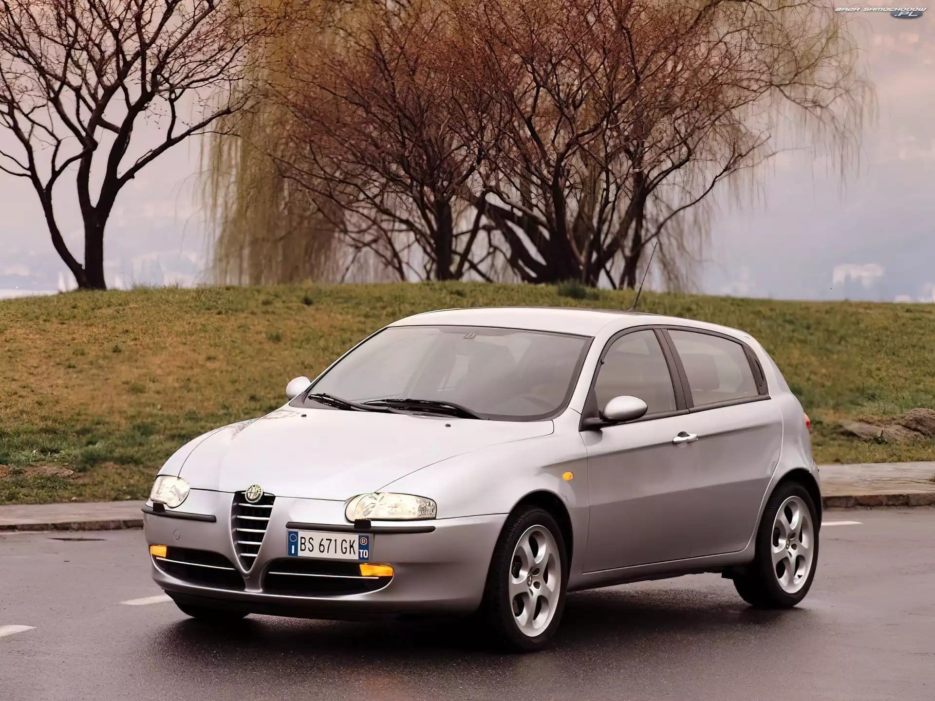Wierzba, Alfa Romeo 147