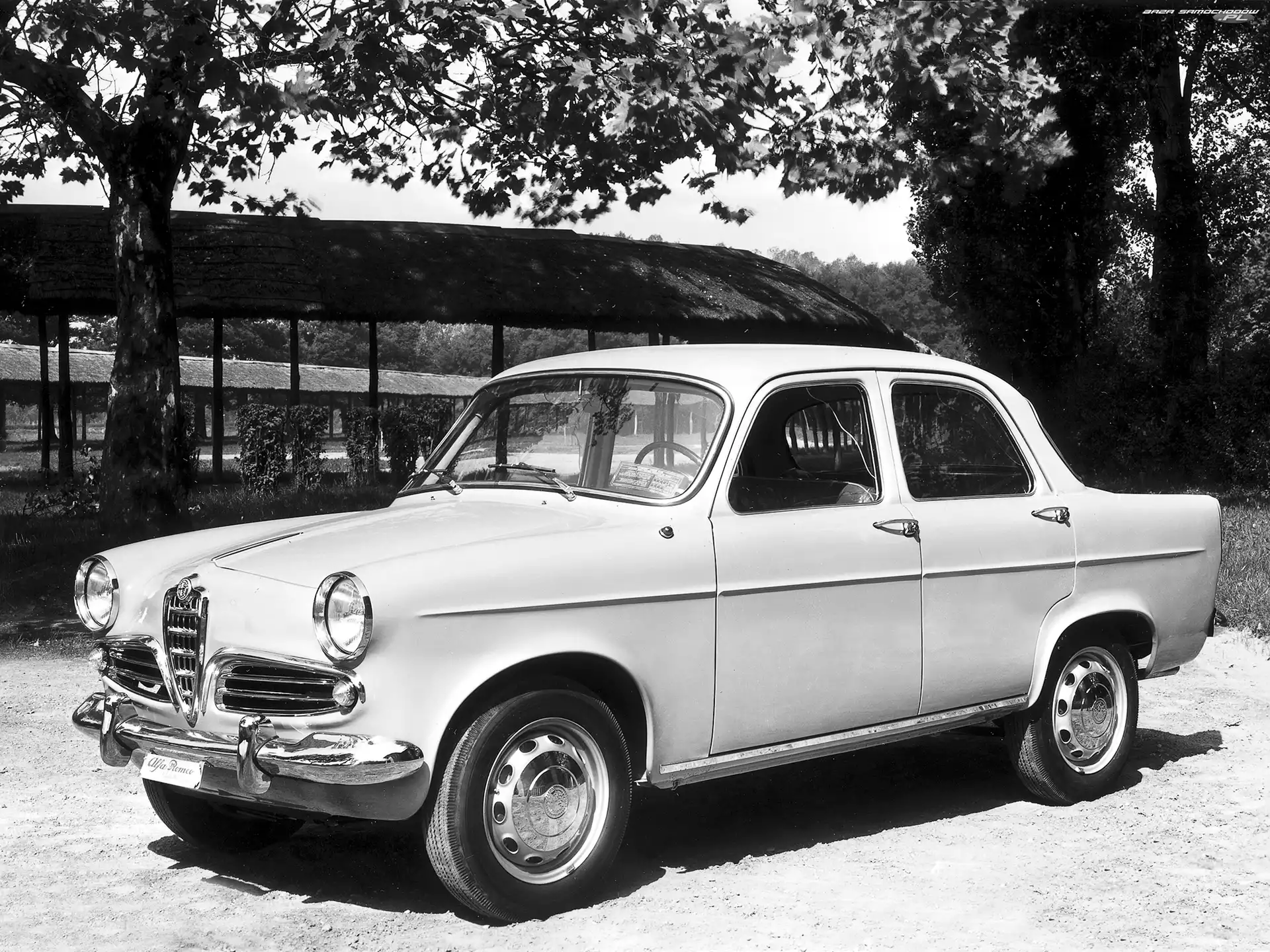 światła, Alfa Romeo, zderzak, maska , koła , opony