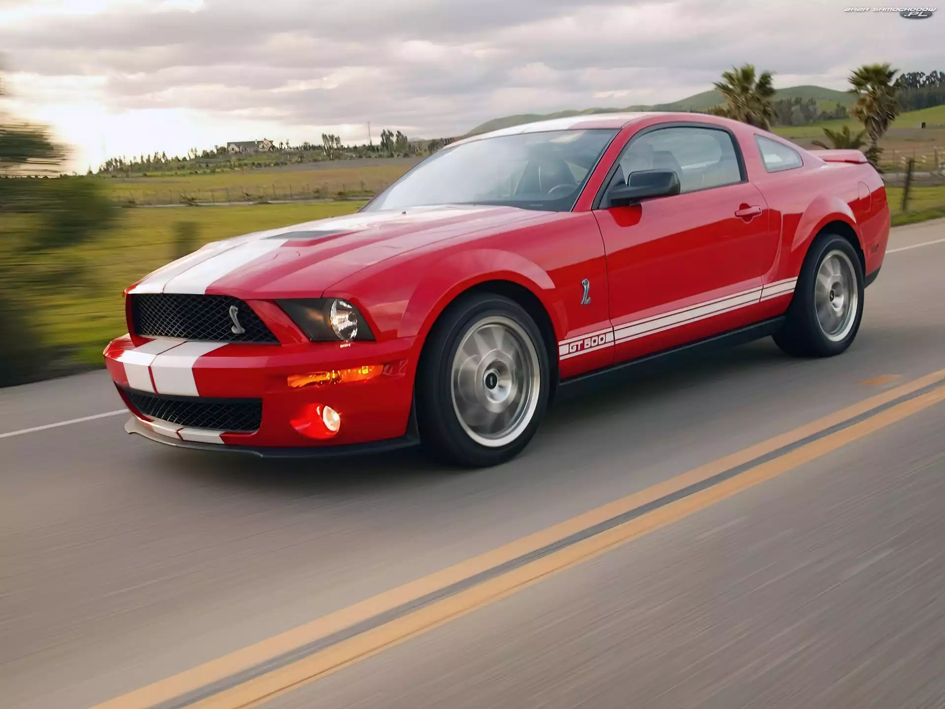 Alufelgi, Shelby, Ford Mustang