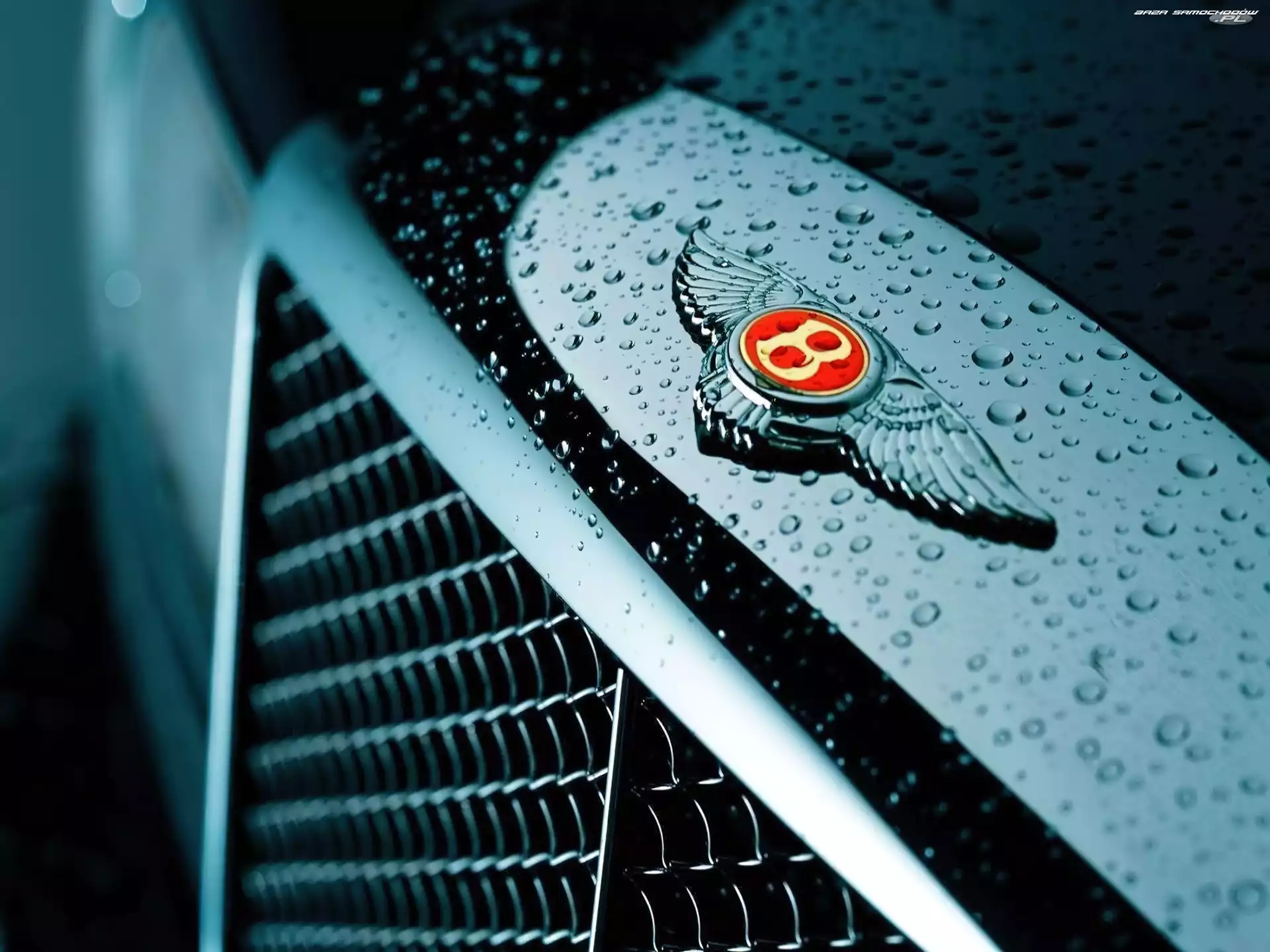 Emblemat, Bentley Arnage