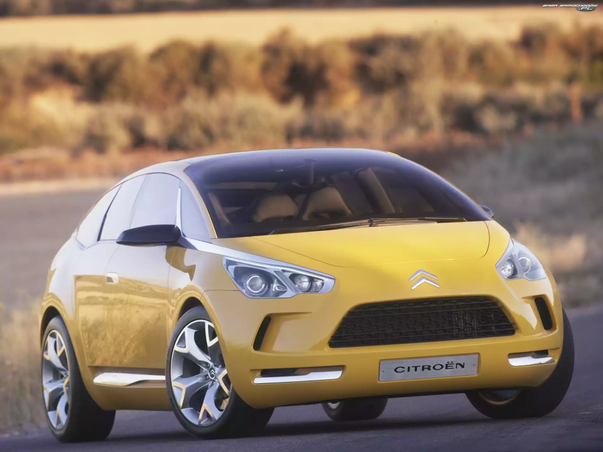 Atrapa, Przód, Citroen C-Sportlounge