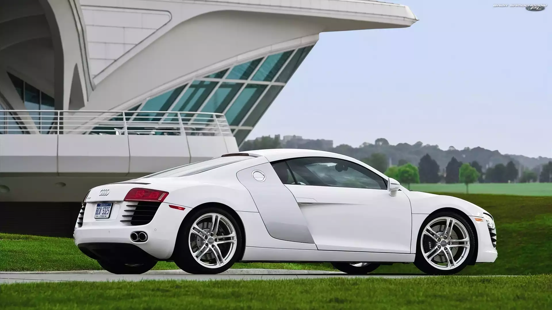 Audi R8, Sportowe, Białe, Auto