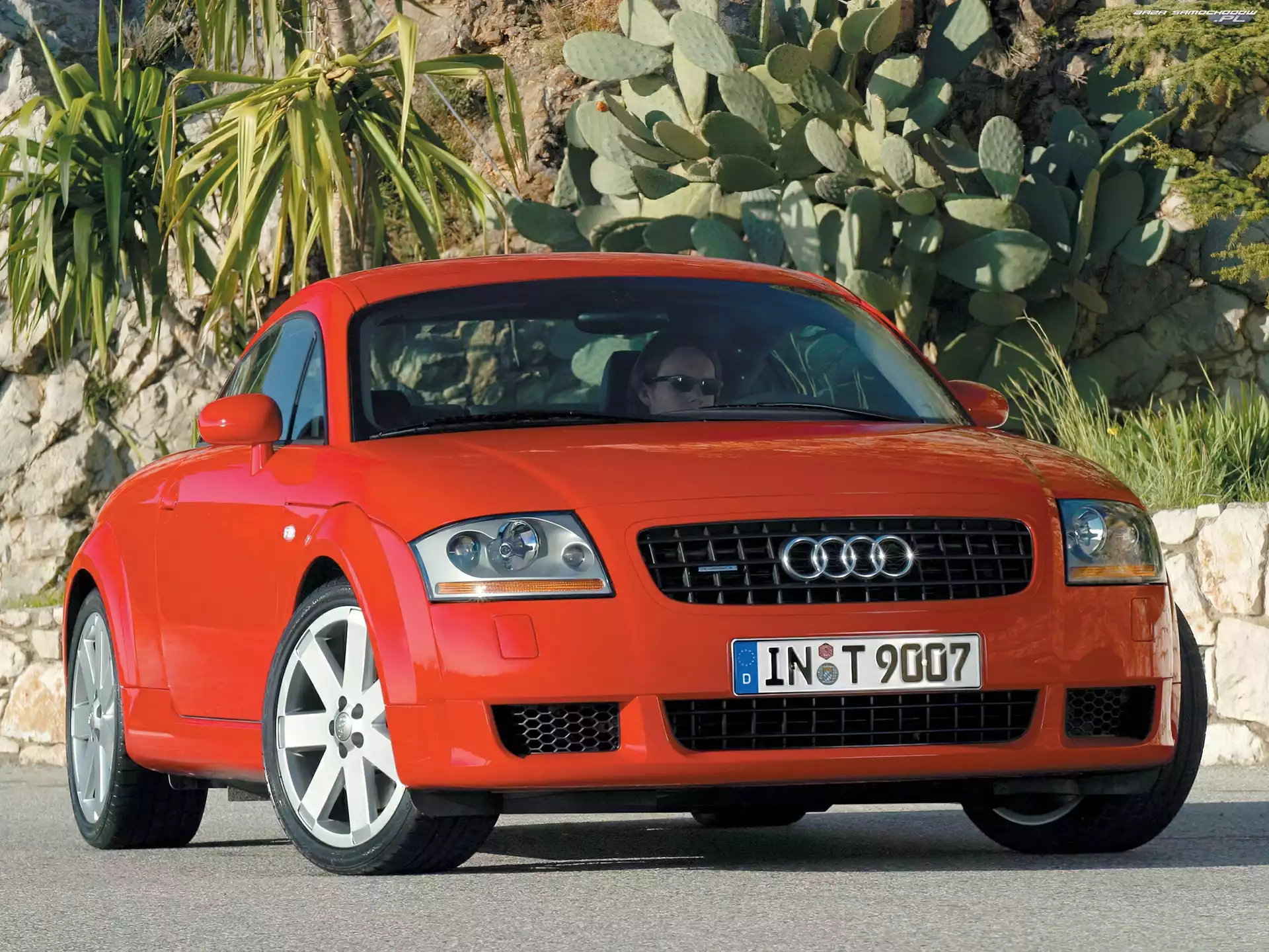 Audi TT, Czerwone