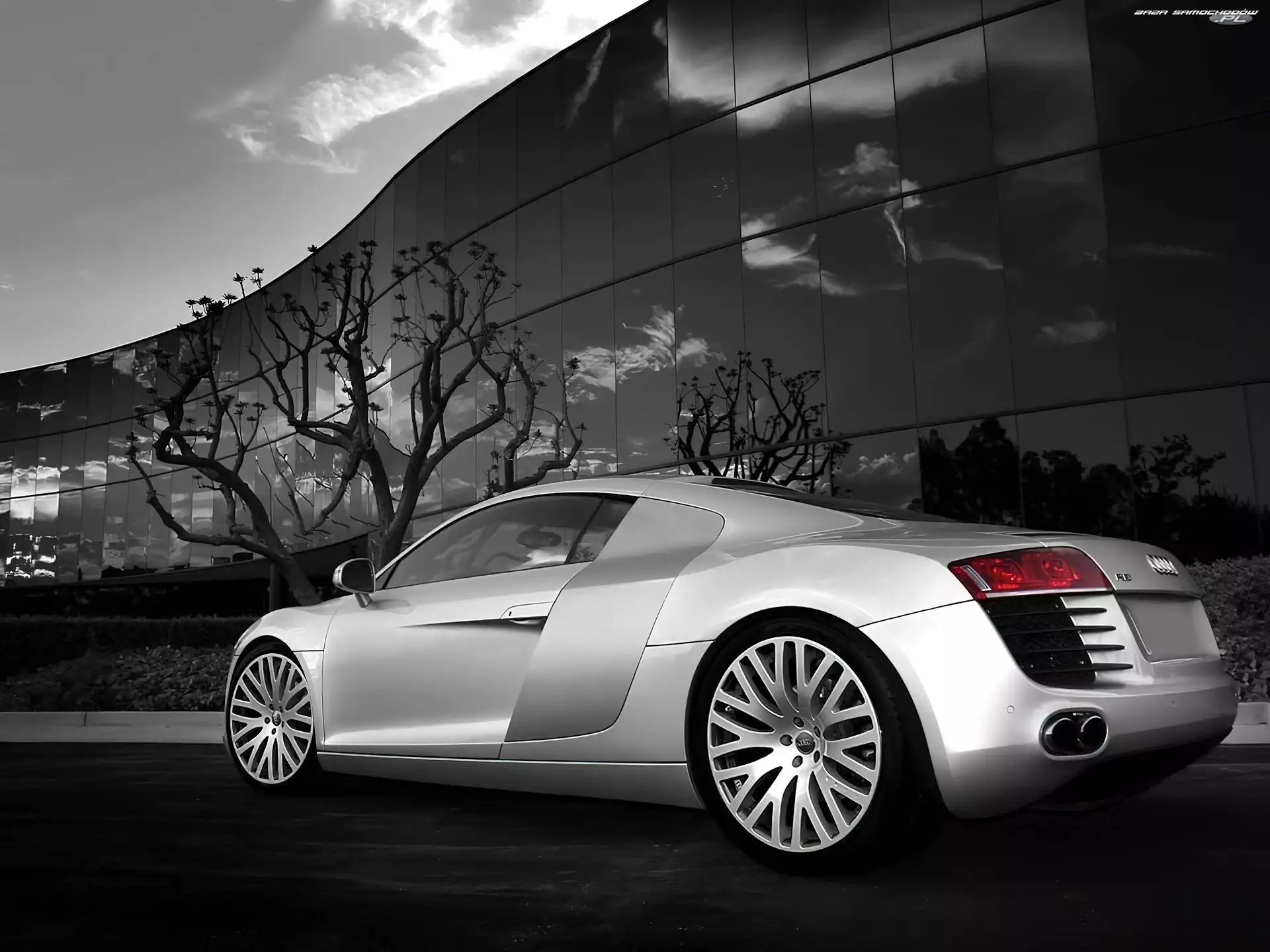 Audi R8, Lewy, Tył