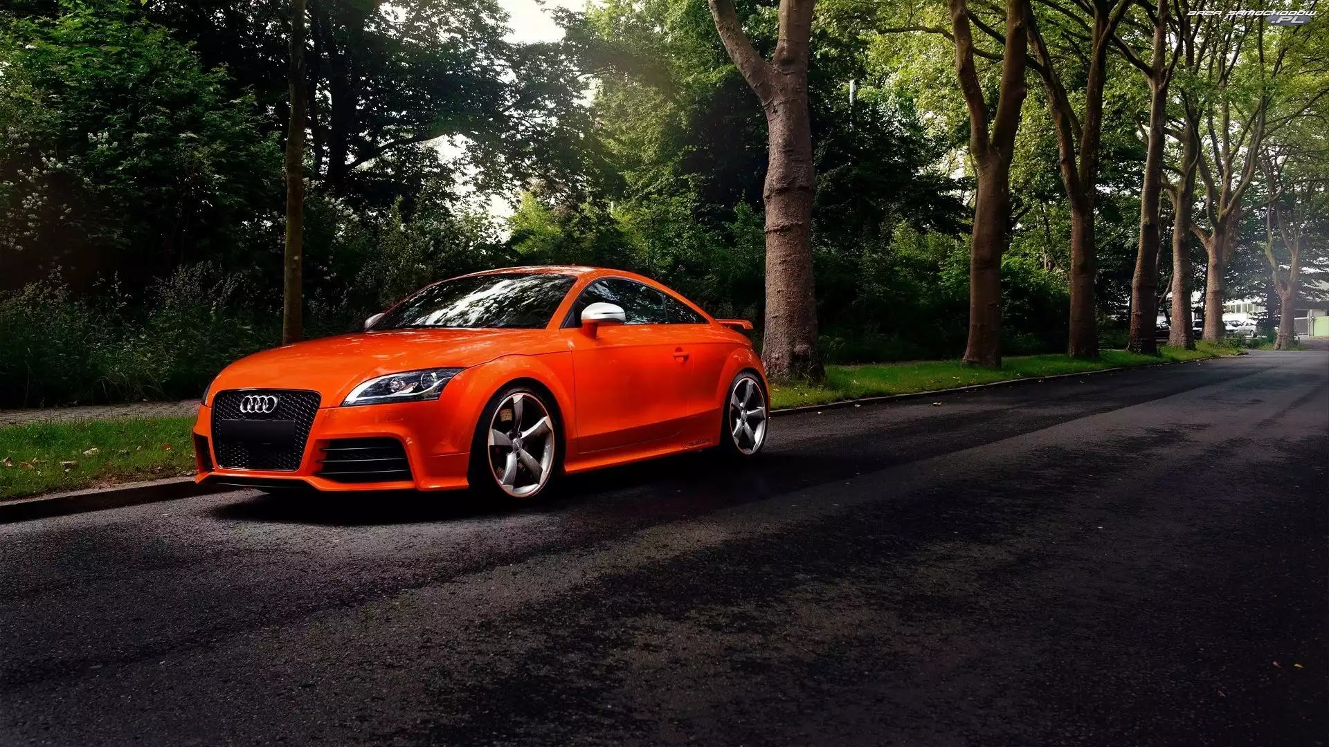 Audi TT, Las, Pomarańczowe, Droga