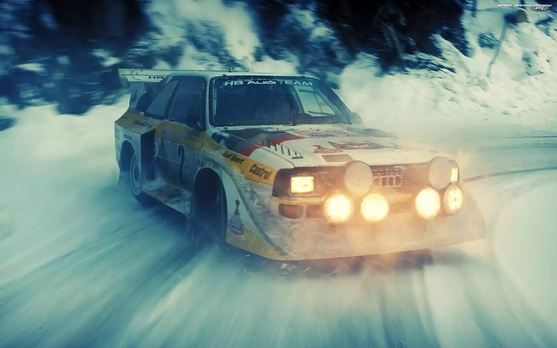 Audi Quattro, Zima, Rajd