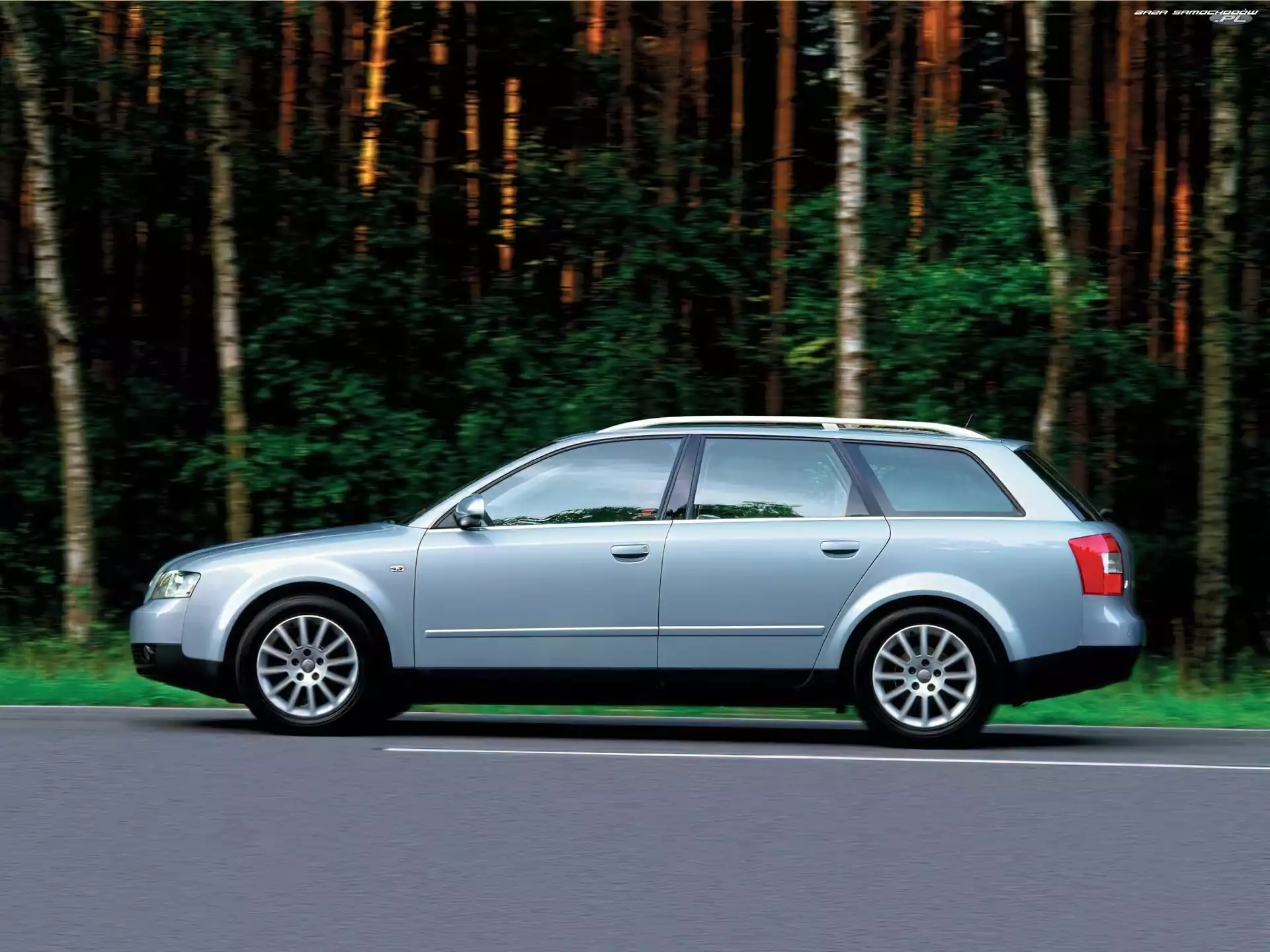 Audi A4, Avant, Drzewa, Lewy Profil