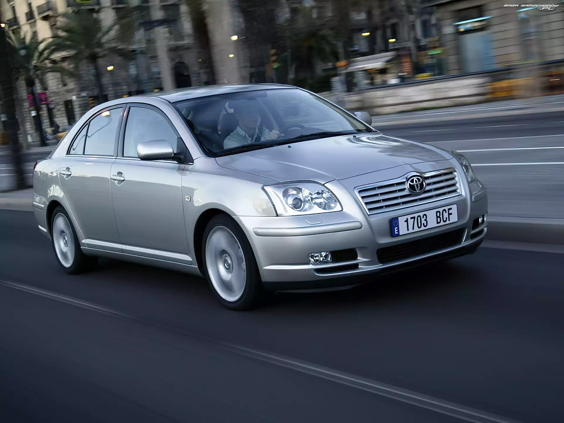 Avensis