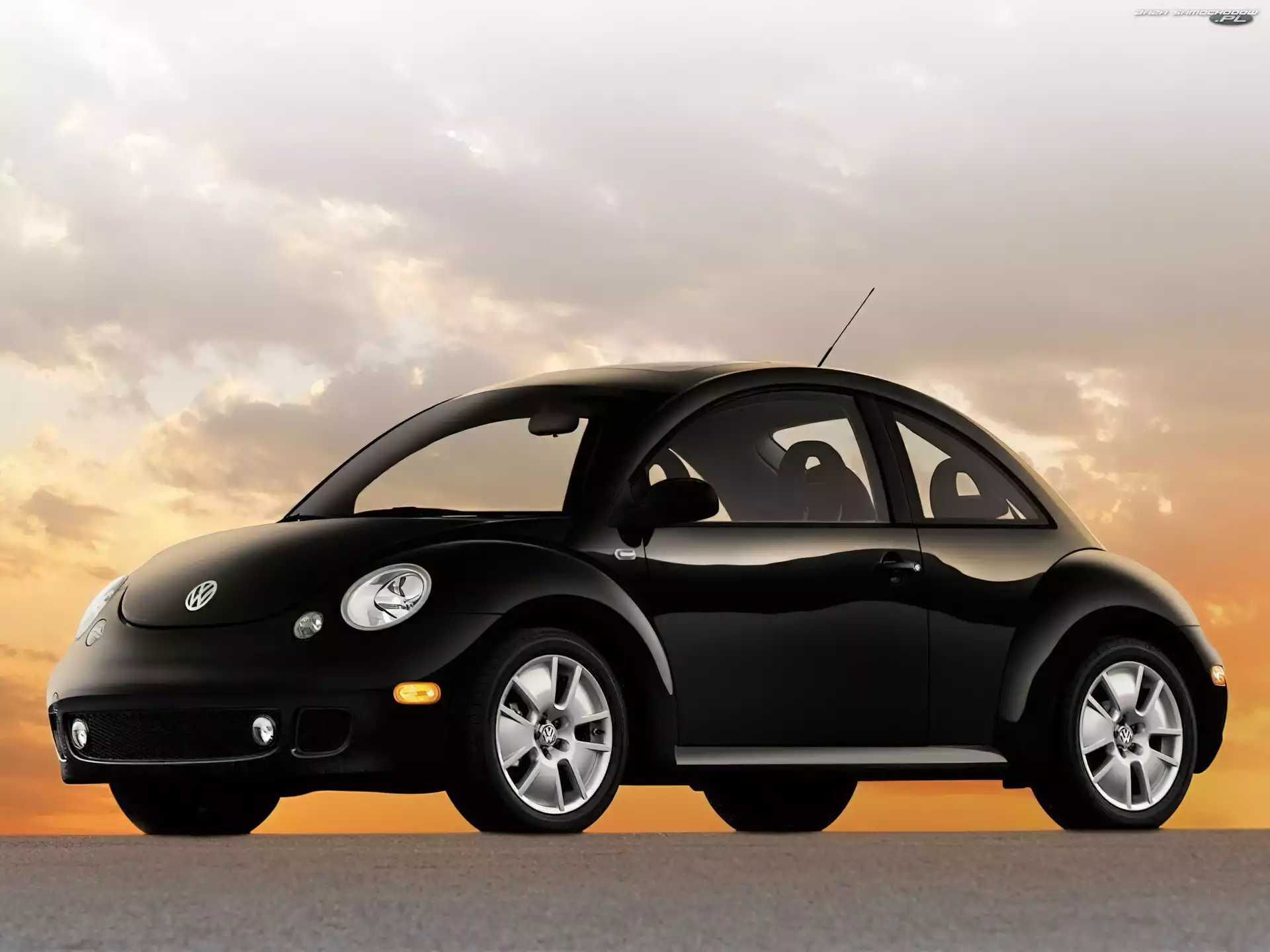 New Beetle, Czarne