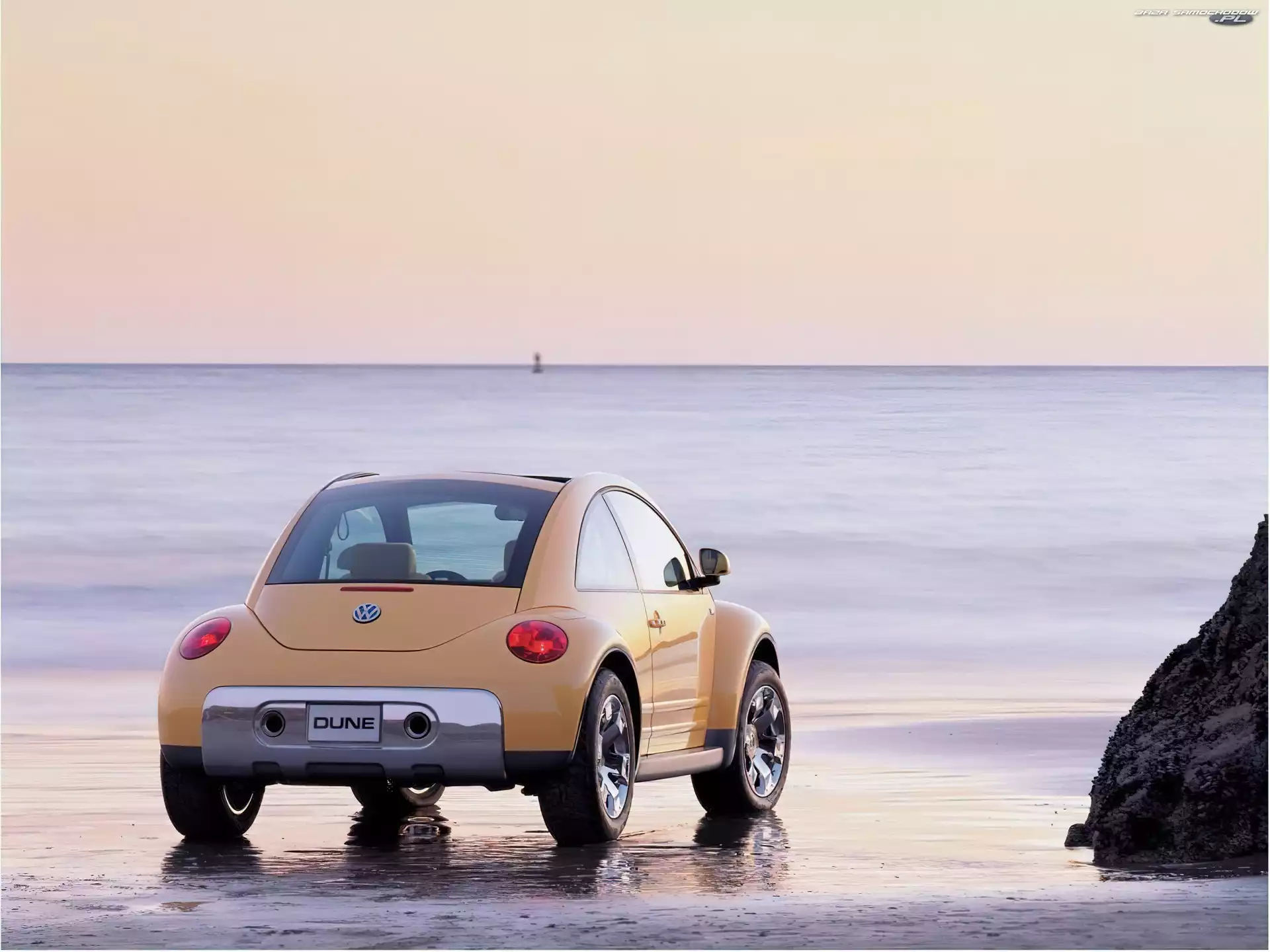 New Beetle, Plarza