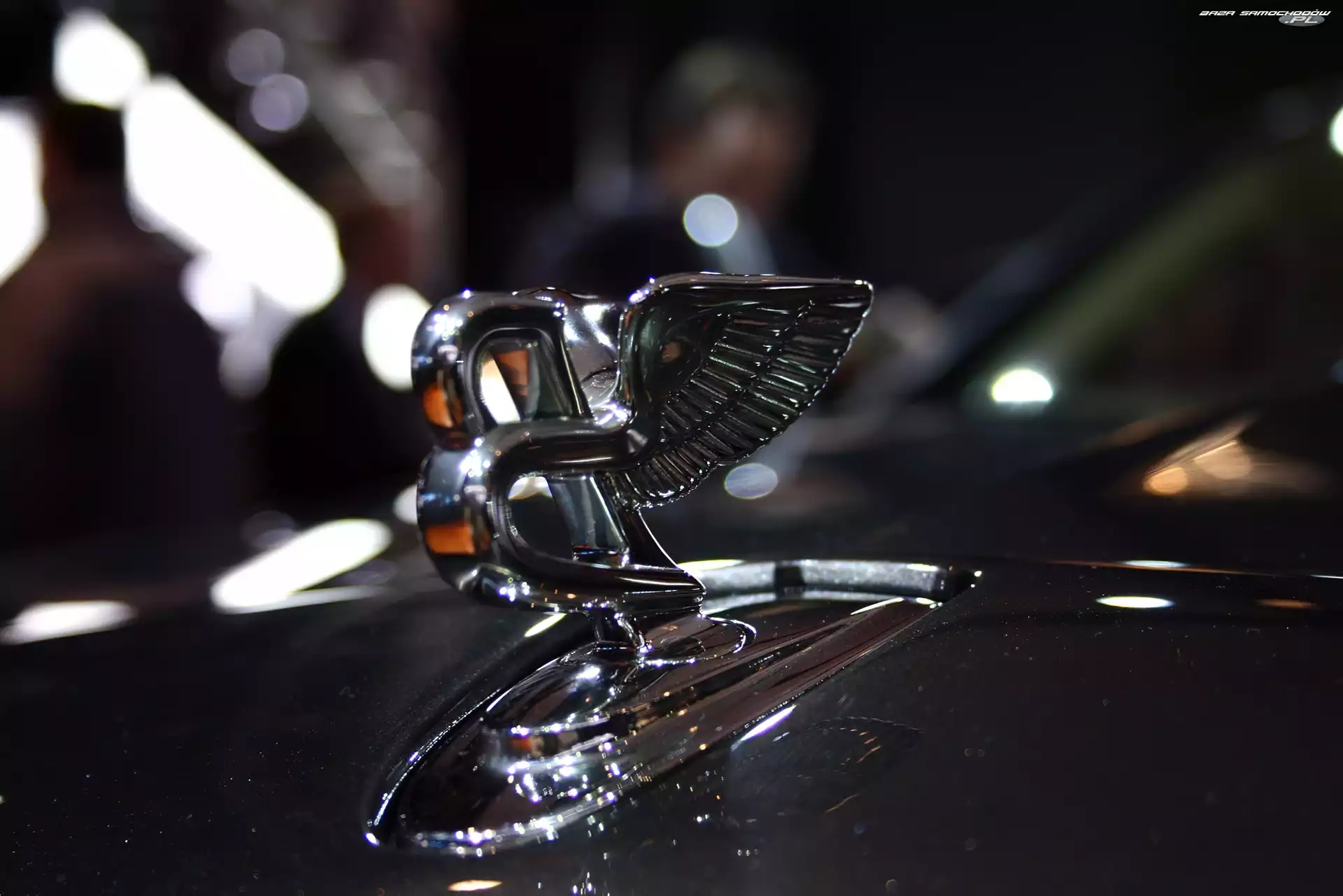 Bentley Mulsanne, Emblemat