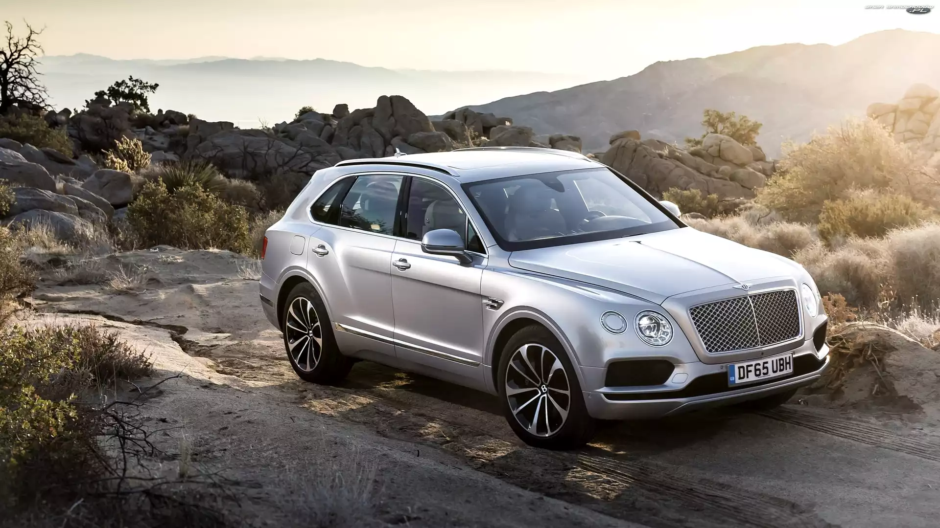 Bentley Bentayga, Rośliny, Srebrny, Skały