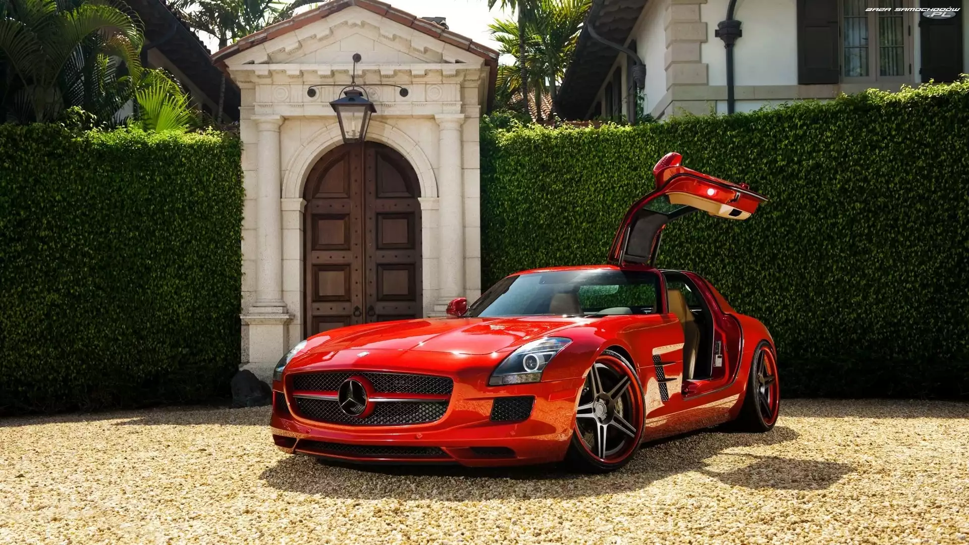 Mercedes-Benz SLS AMG, Żywopłot, Czerwony, Brama