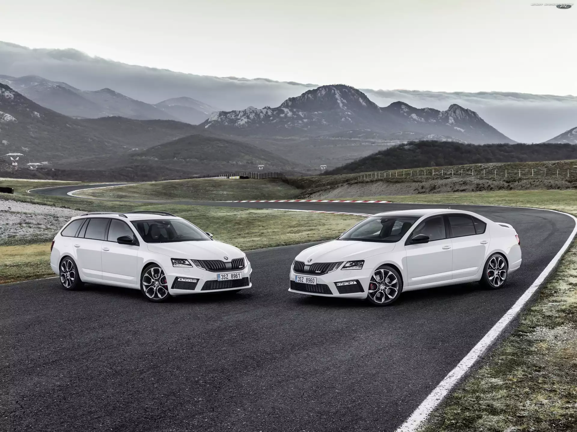 Białe, Skoda Octavia, Dwa, Samochody