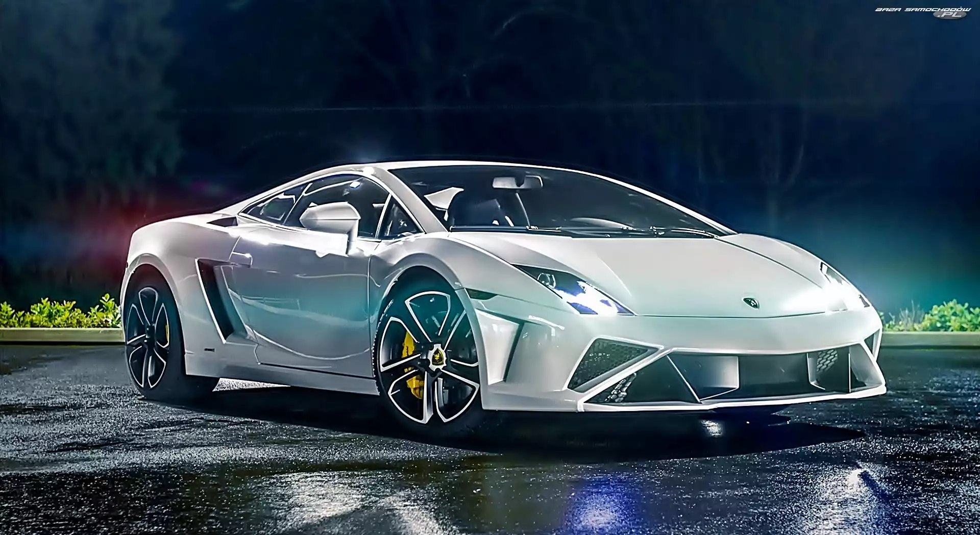 Gallardo, Białe, Lamborghini