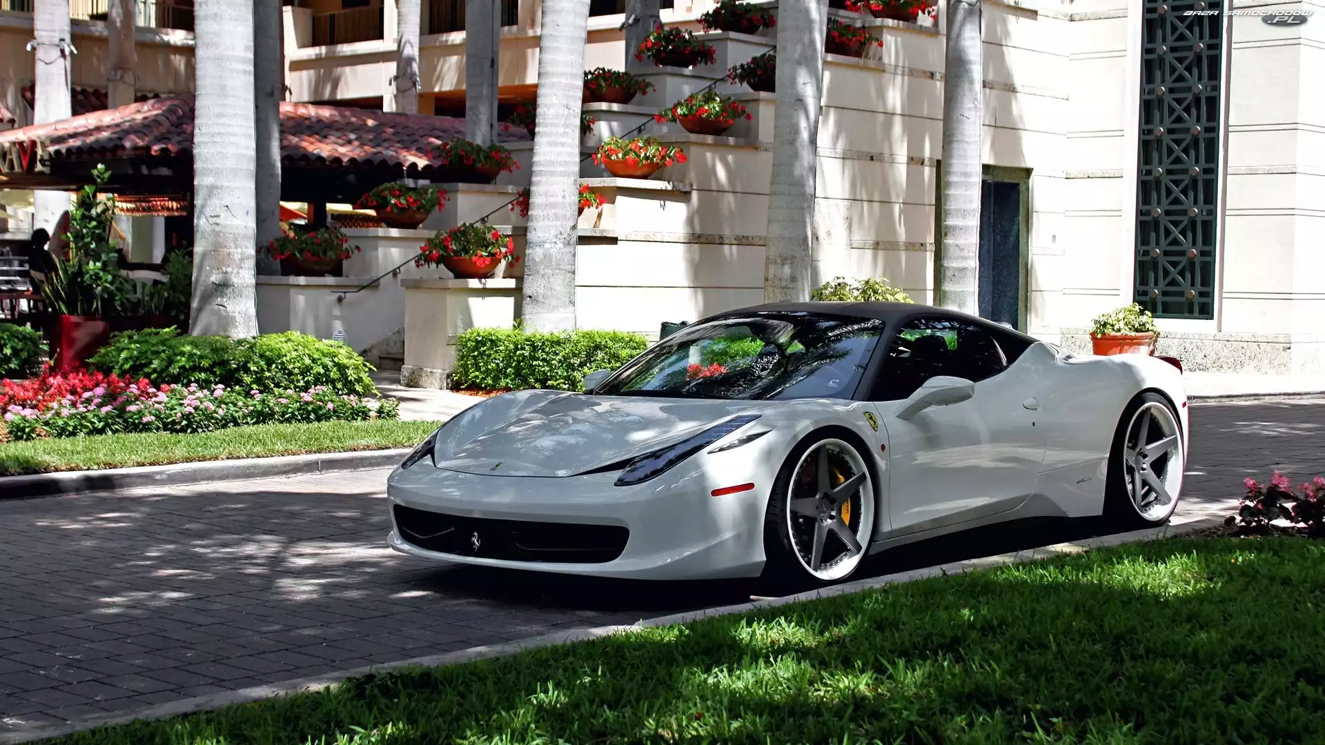 Ferrari, Biały, Kwiaty, Dom, Samochód, 458 Italia