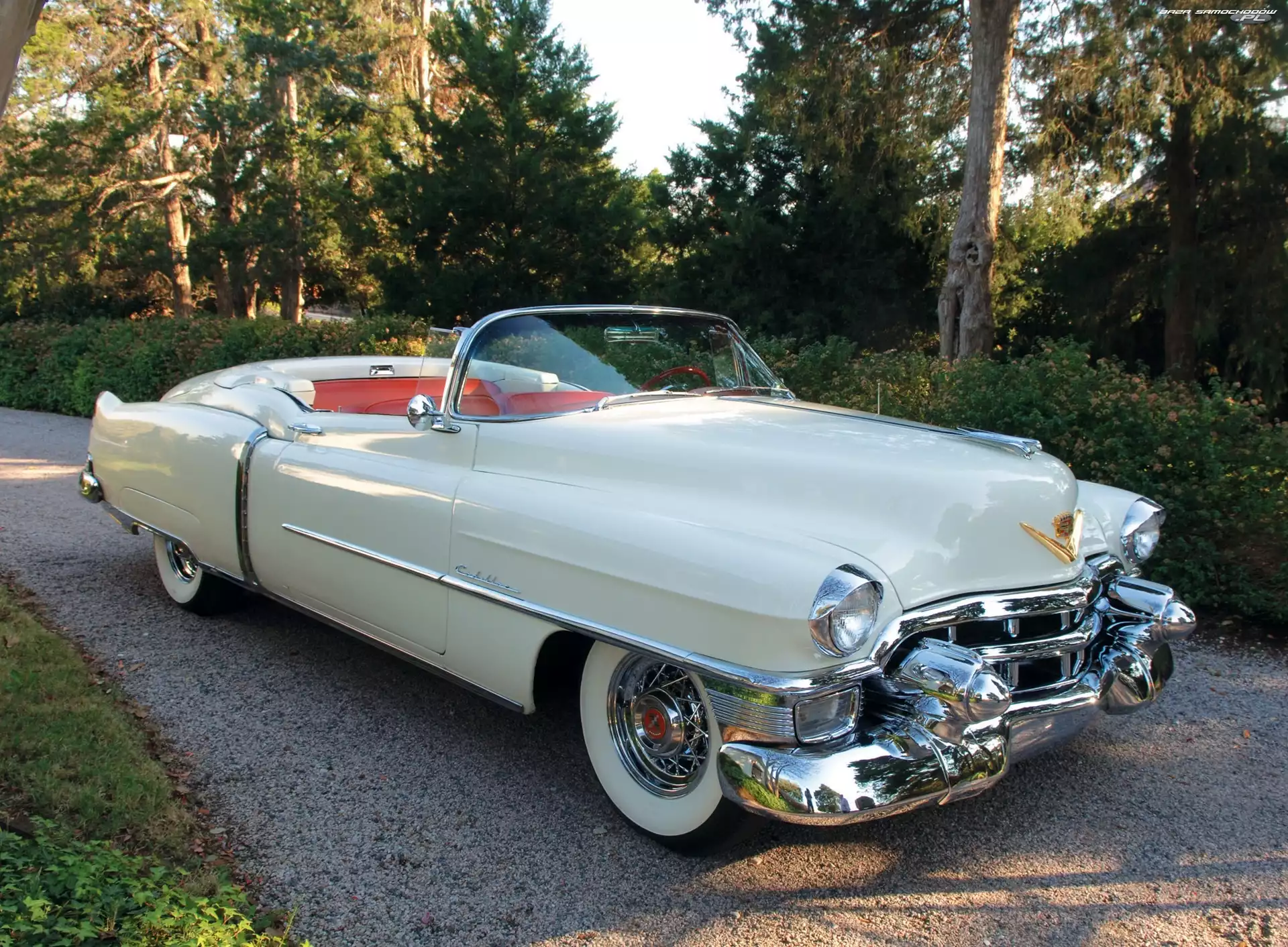Biały, Cadillac Eldorado, Samochód Zabytkowy, Kabriolet