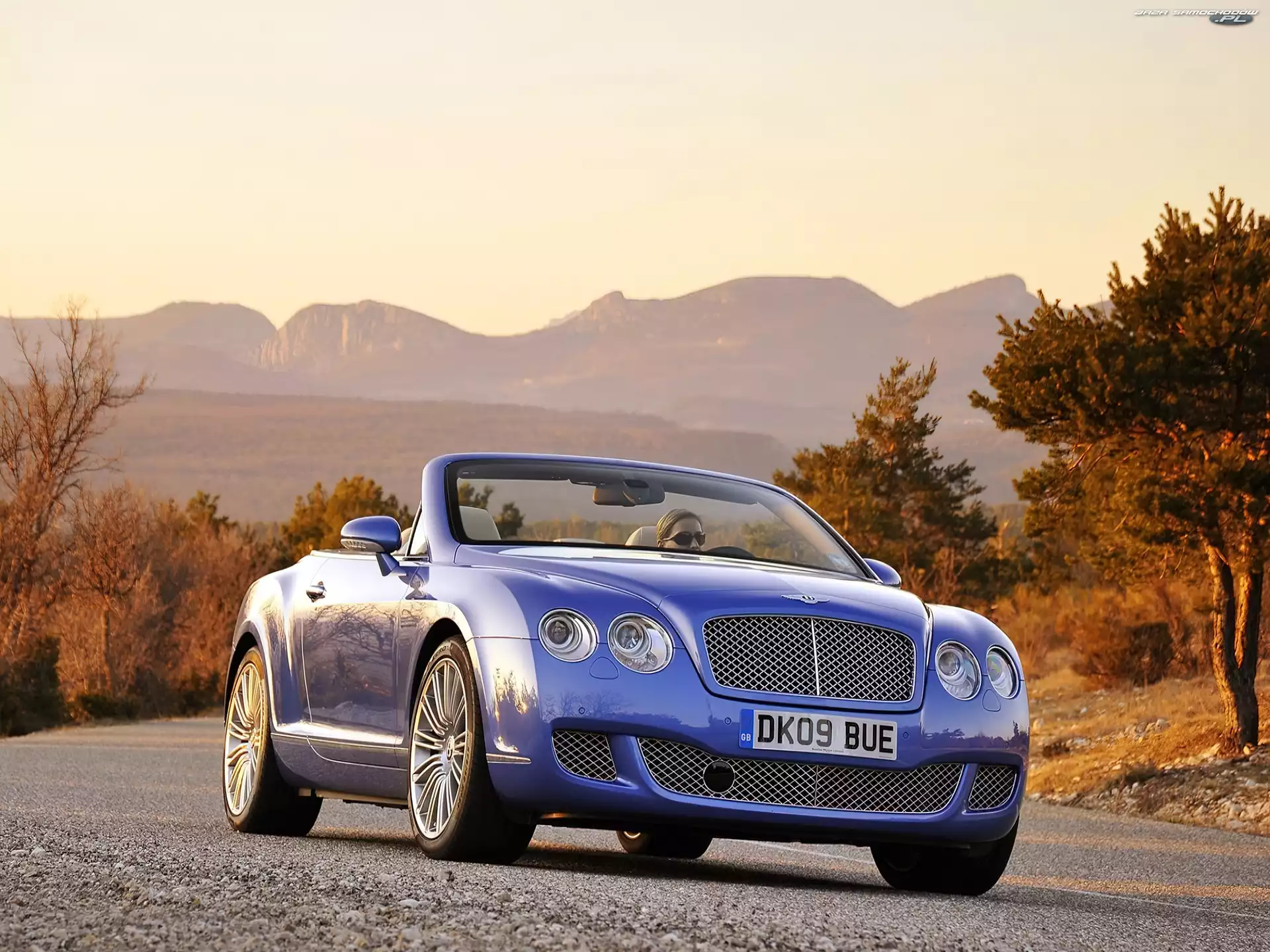 Błękitny, Bentley Continental GTC