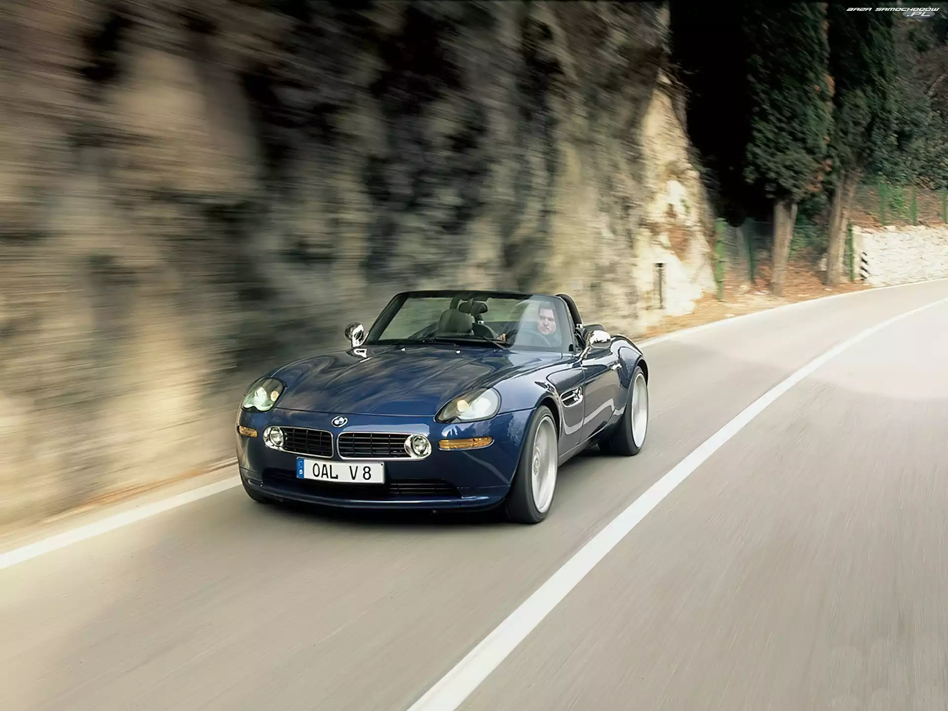 BMW Z8, Alpina