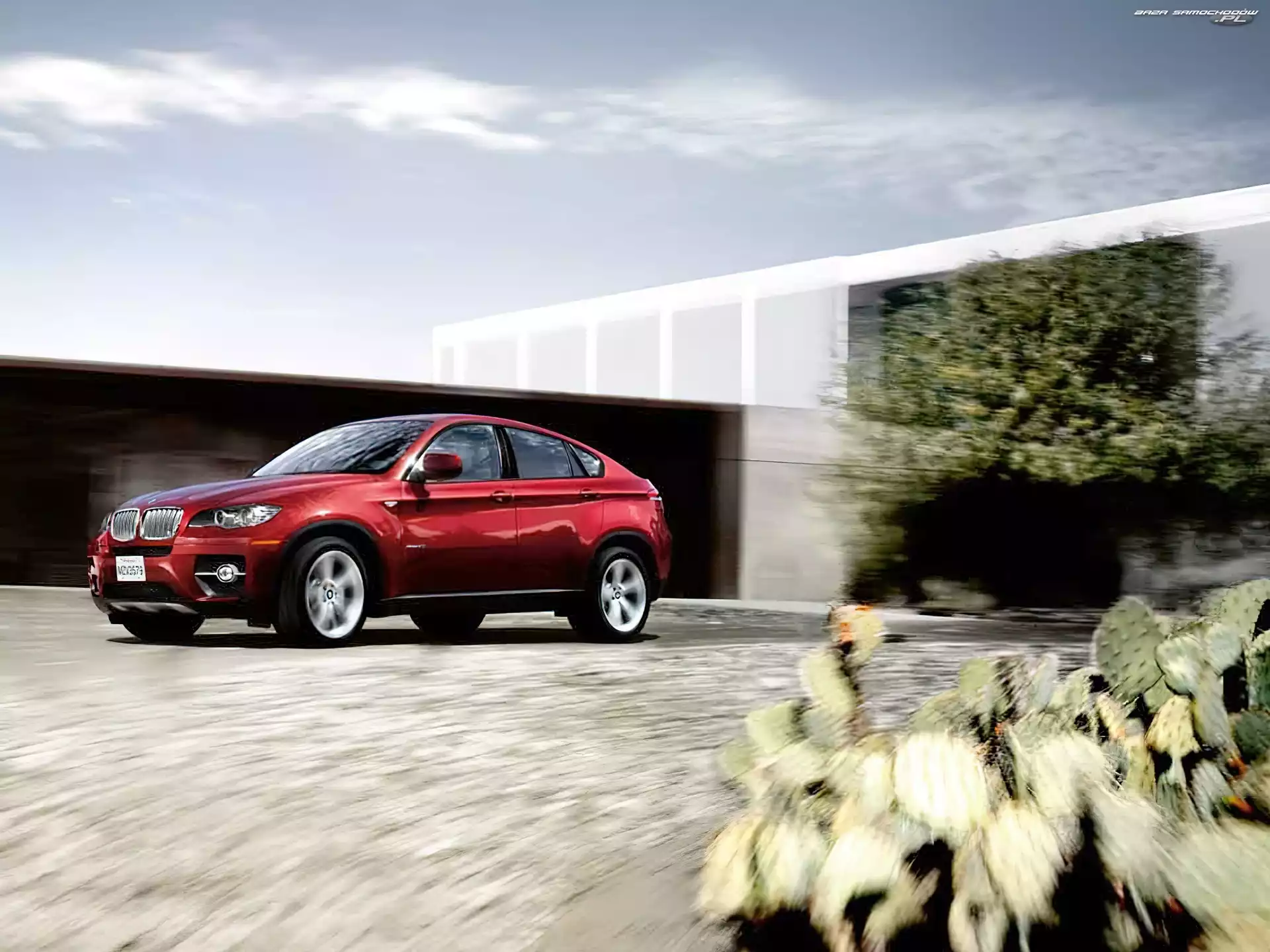 BMW X6, Bordowe