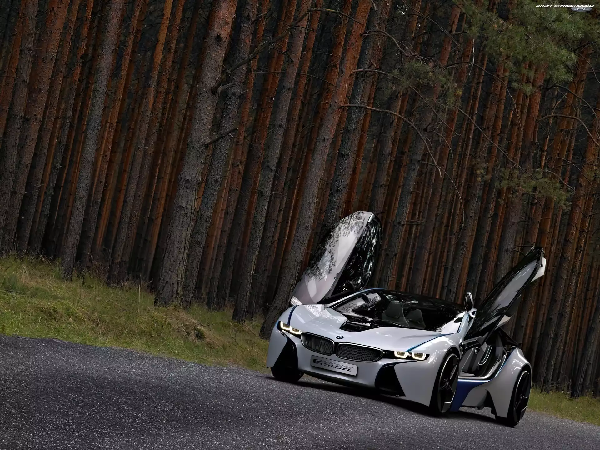 BMW Vision Efficient Dynamics