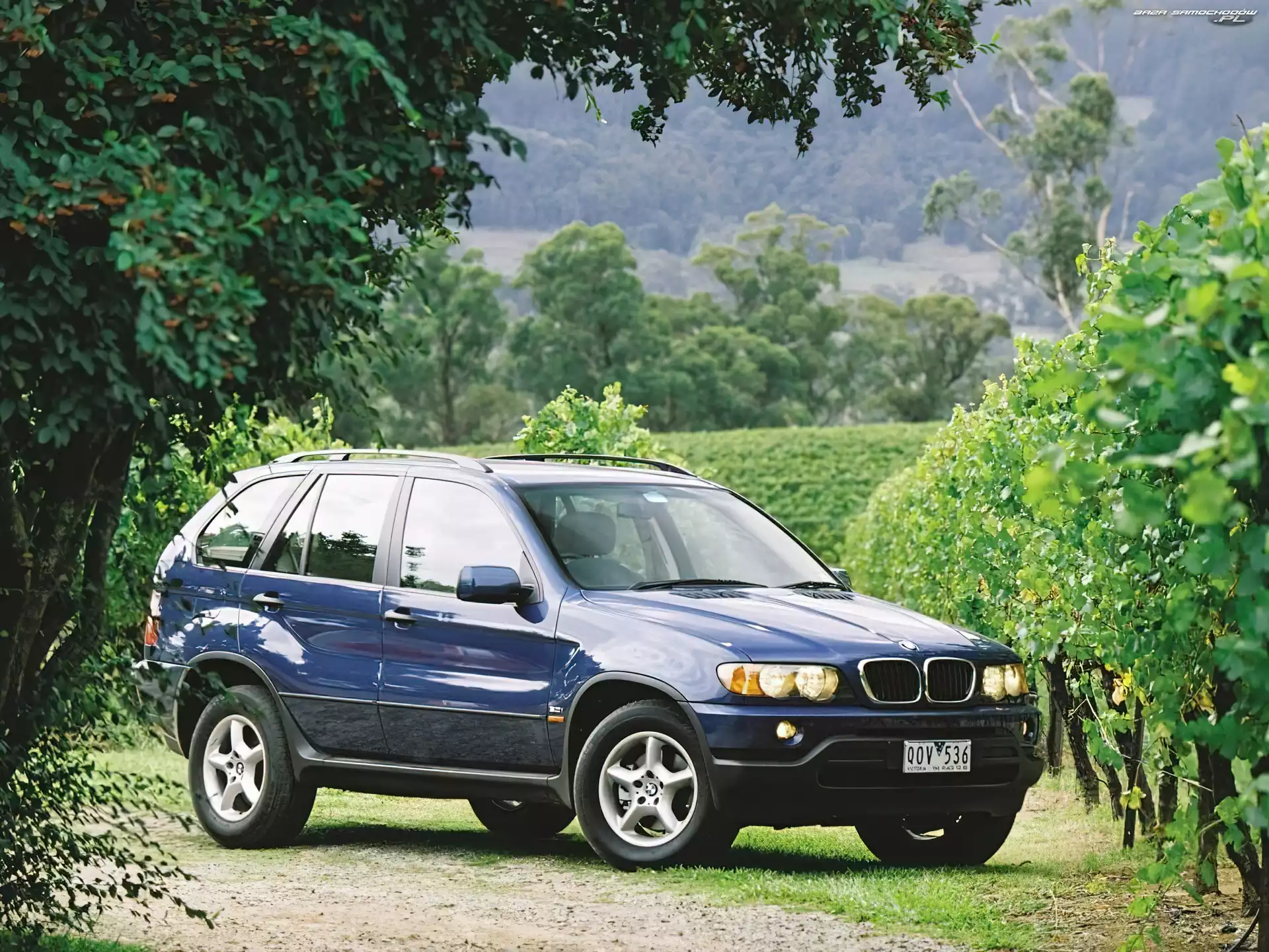 Bmw X5, Granatowy