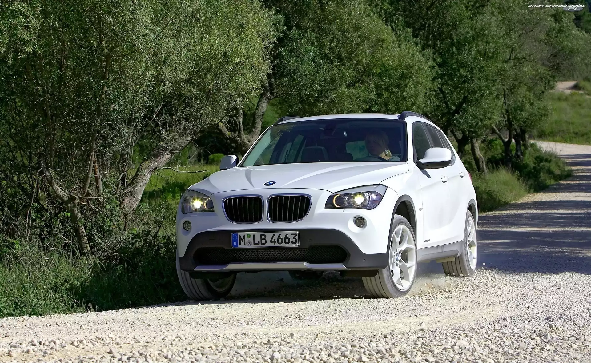 Samochód, BMW, X1