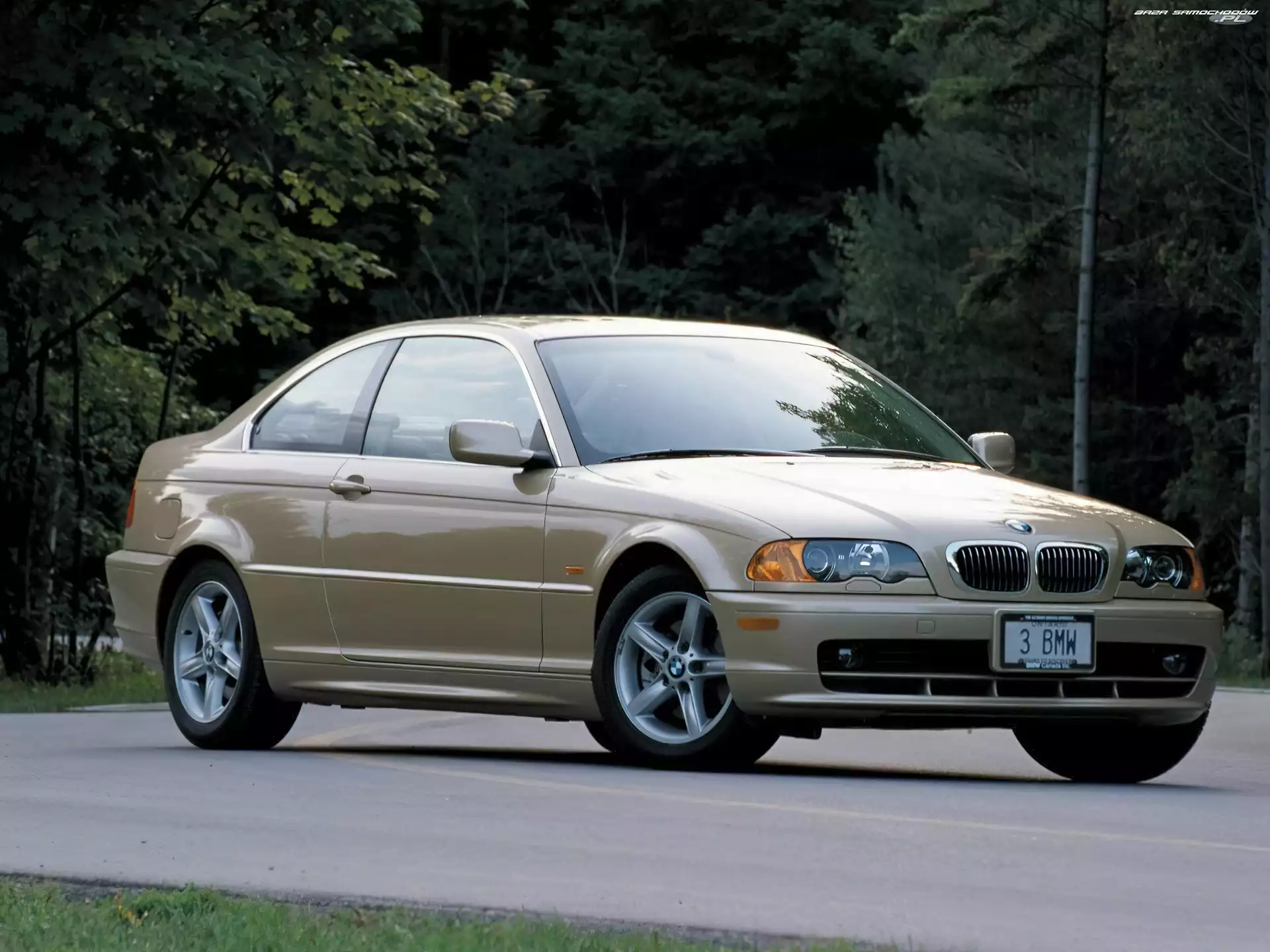 BMW 3, Coupe, Złote, E46