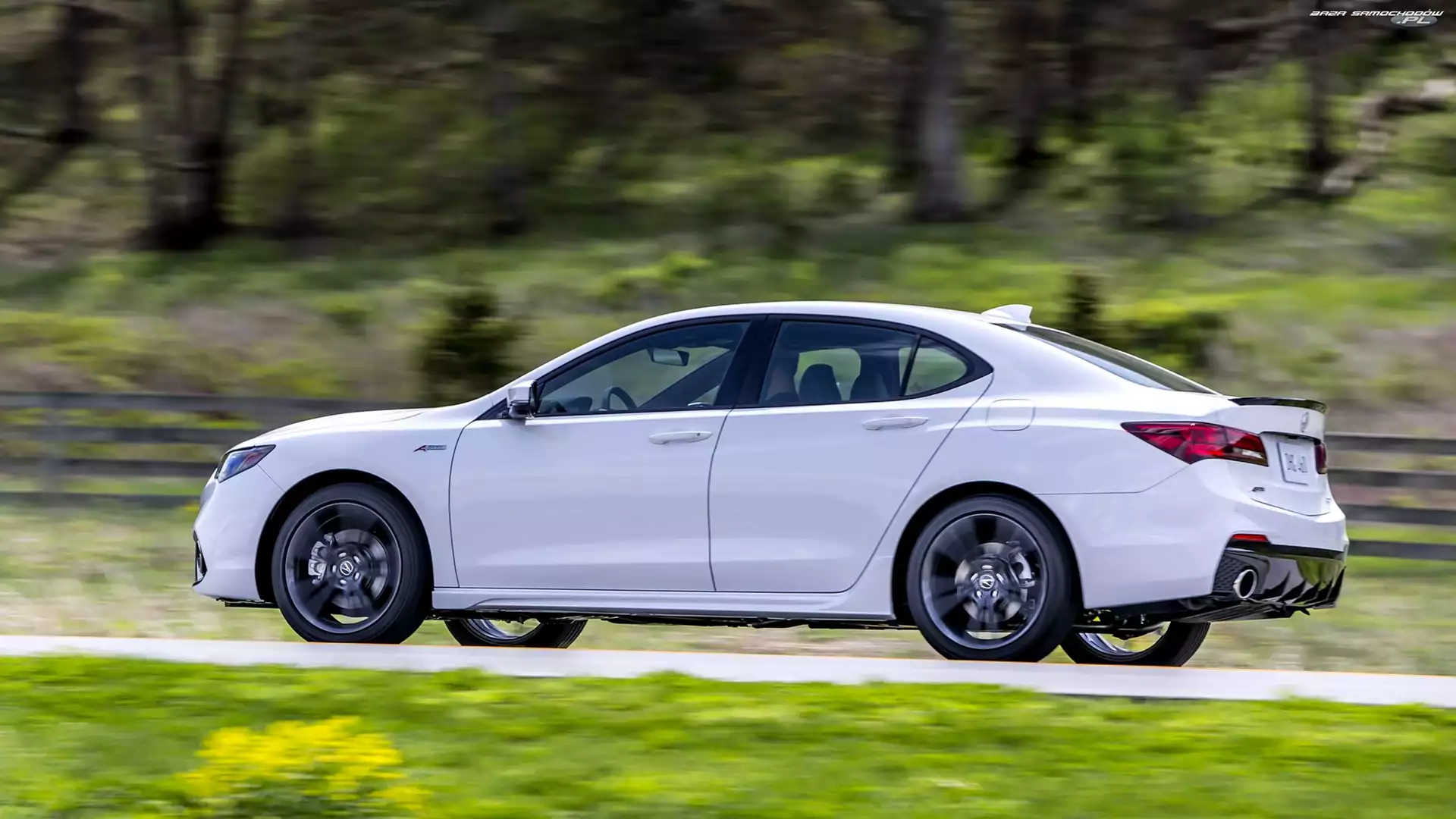 Bok, Biała, Acura TLX