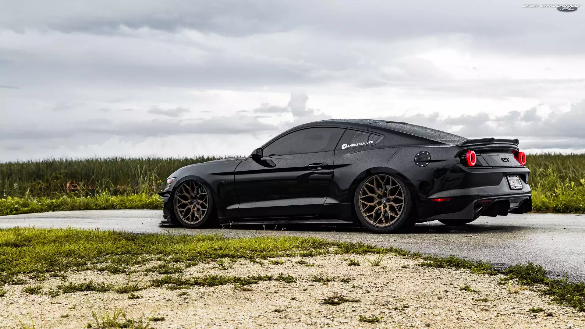 Bok, Czarny, Ford Mustang
