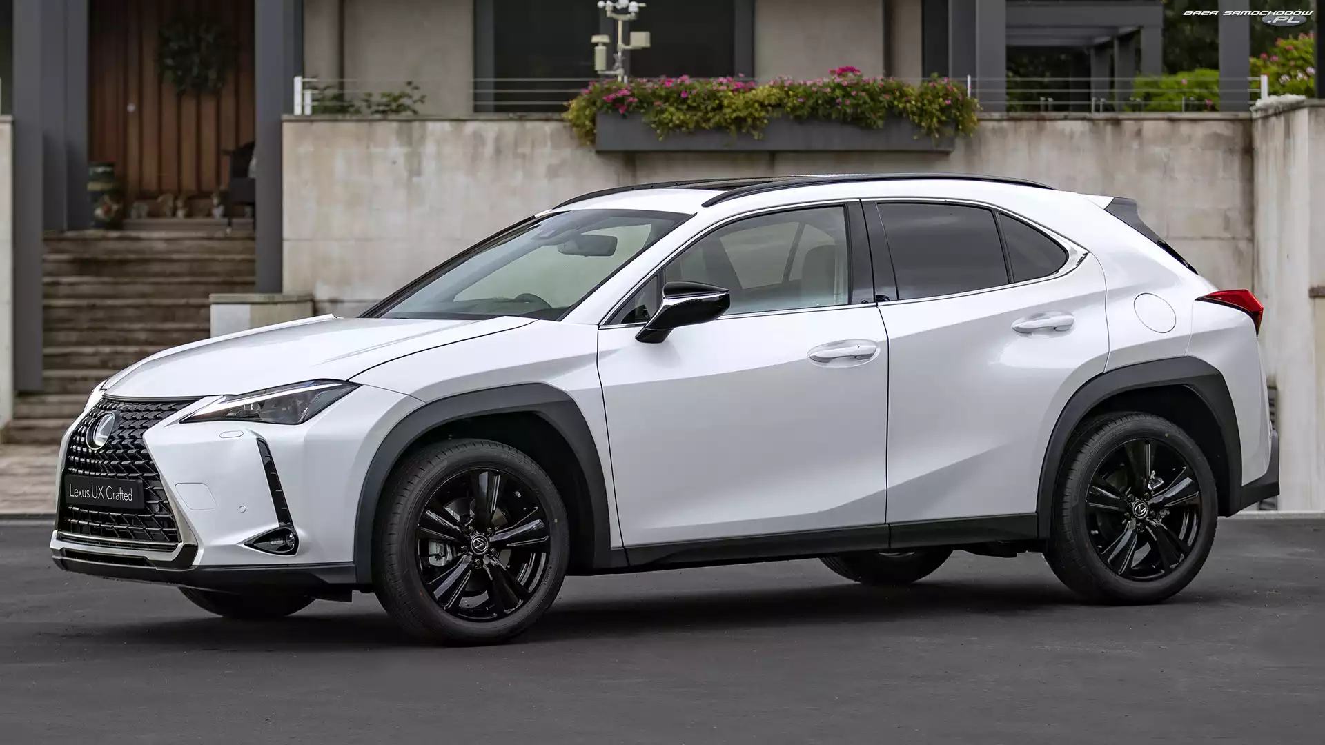 Bok, Biały, Lexus UX