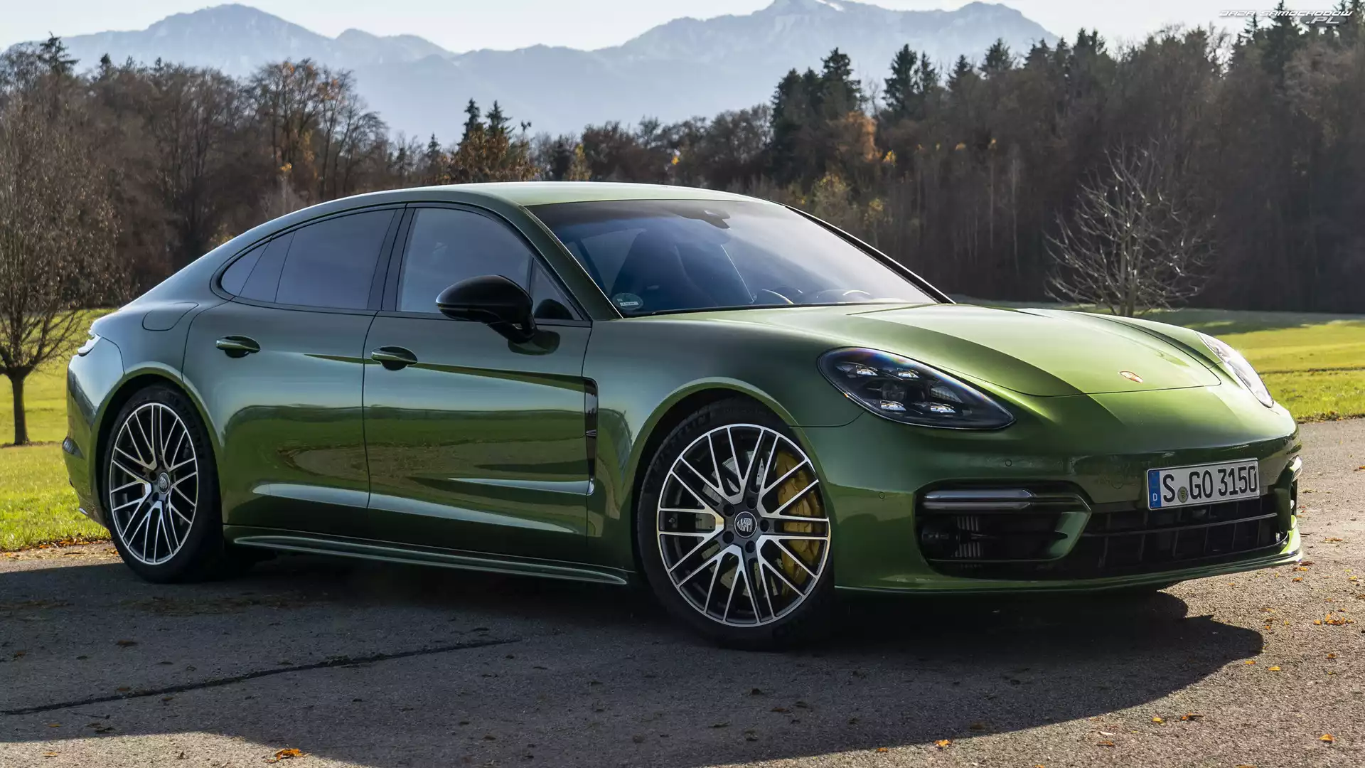 Bok, Zielone, Porsche Panamera S