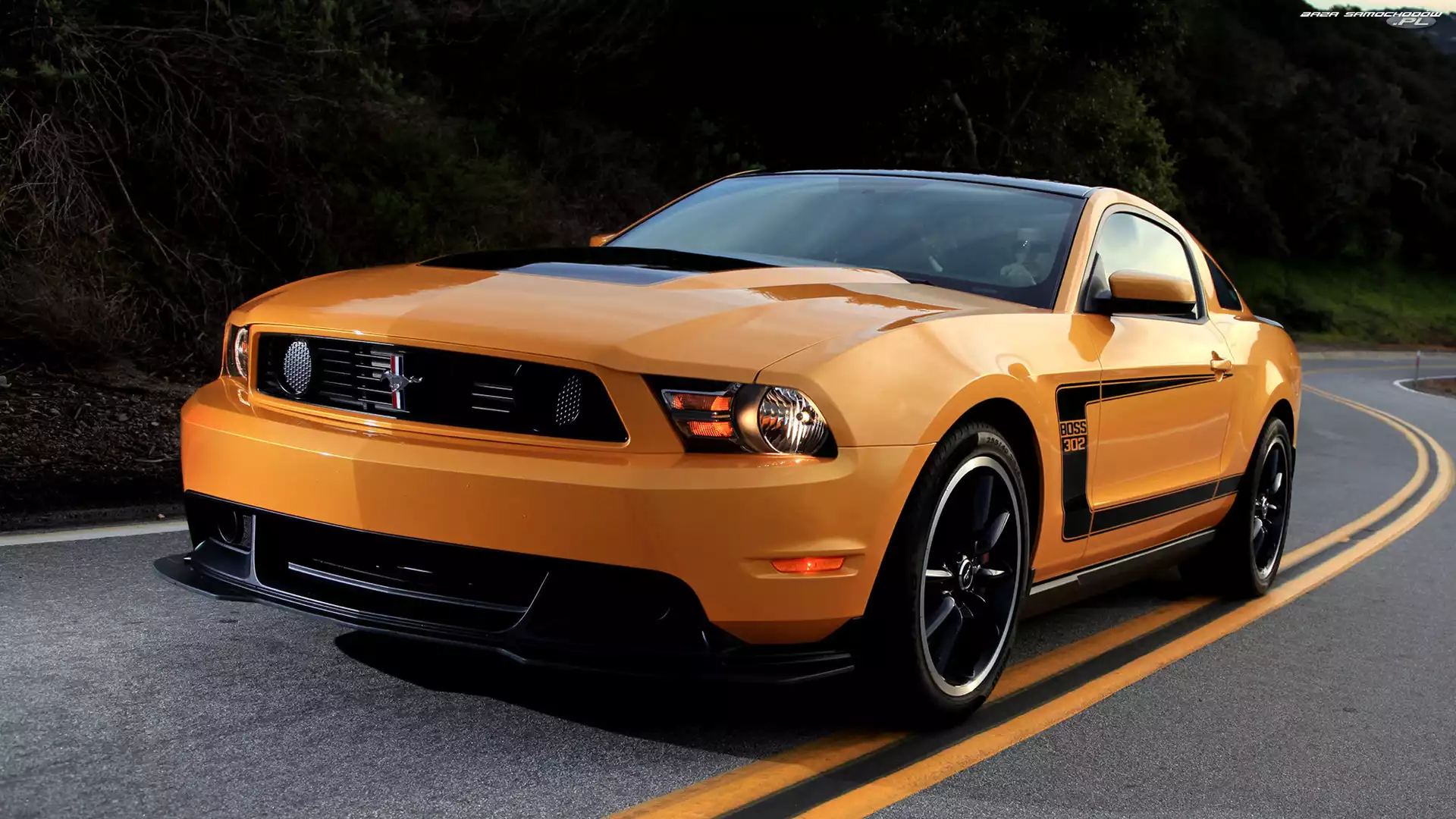 Zabytkowy, Ford Mustang Boss 302, 1970