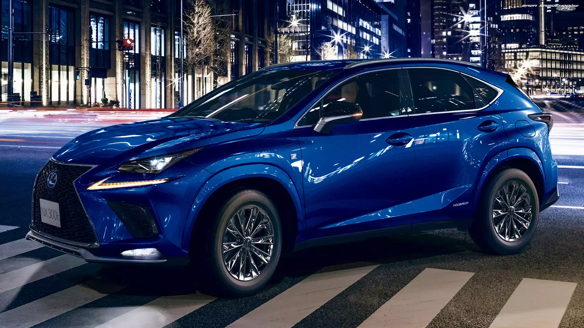 Cool & Bright, Lexus NX F Sport, Wersja